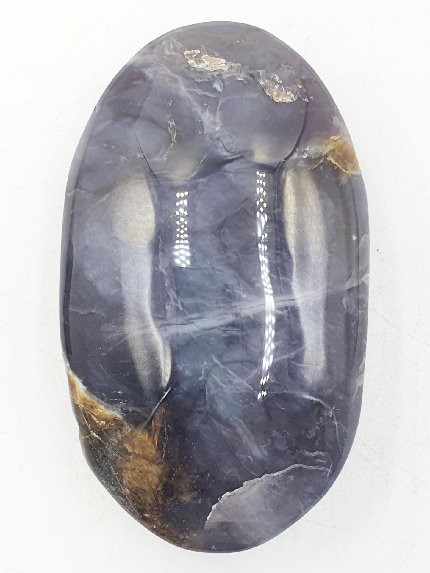 Petrified Wood Palm Stone - Grounding & Ancestral Wisdom Crystal - 70g