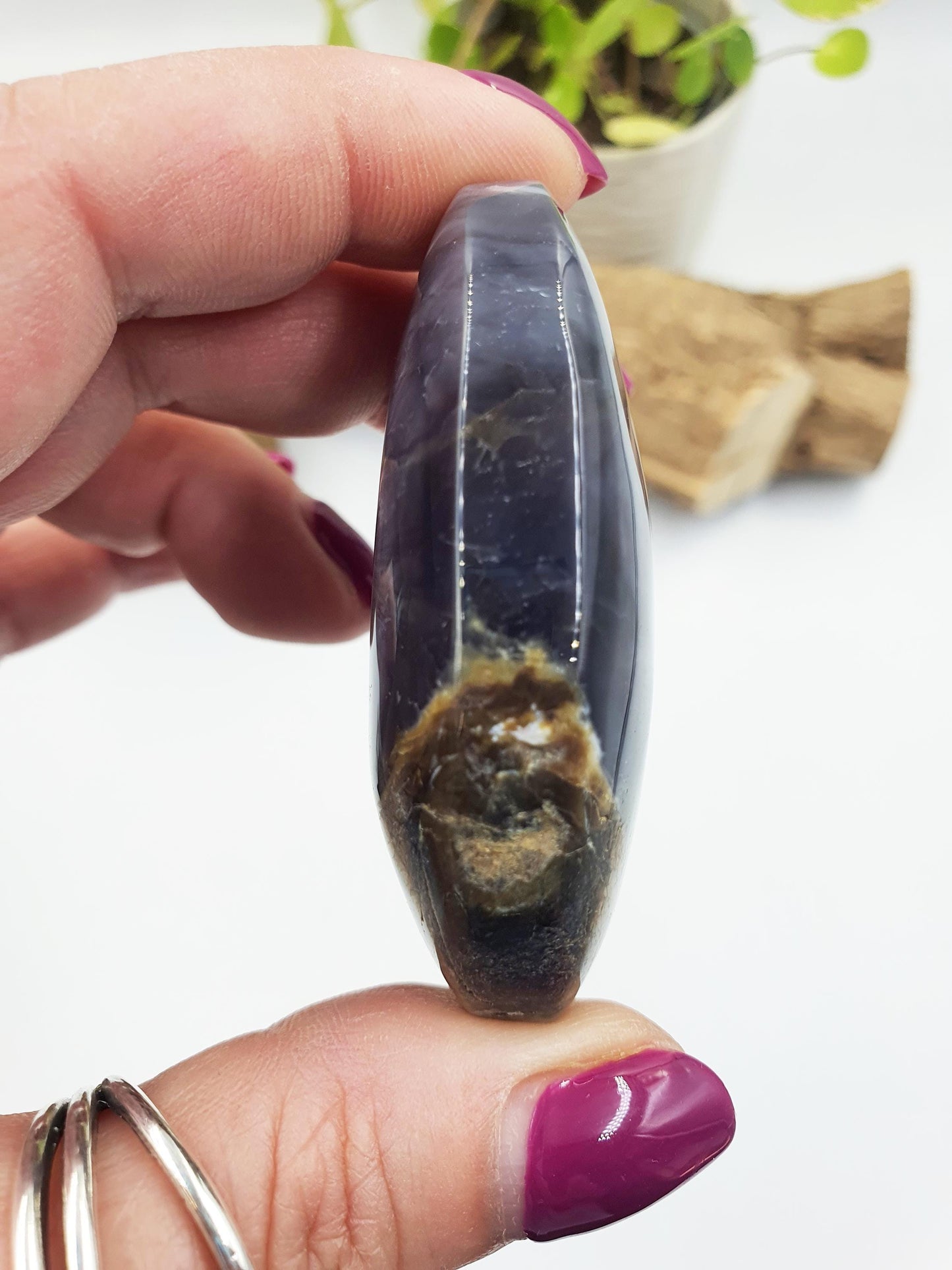 Petrified Wood Palm Stone - Grounding & Ancestral Wisdom Crystal - 70g