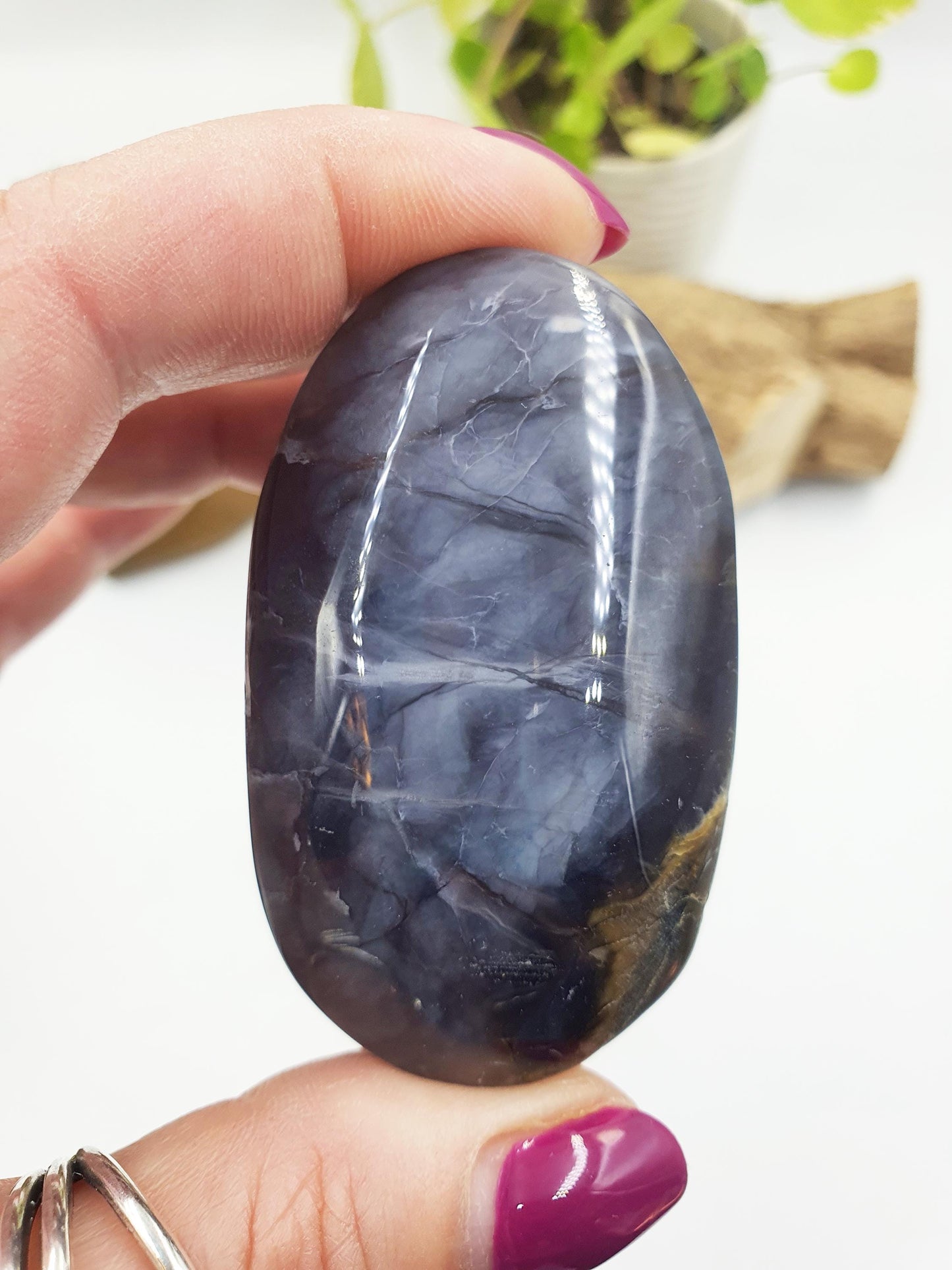 Petrified Wood Palm Stone - Grounding & Ancestral Wisdom Crystal - 70g