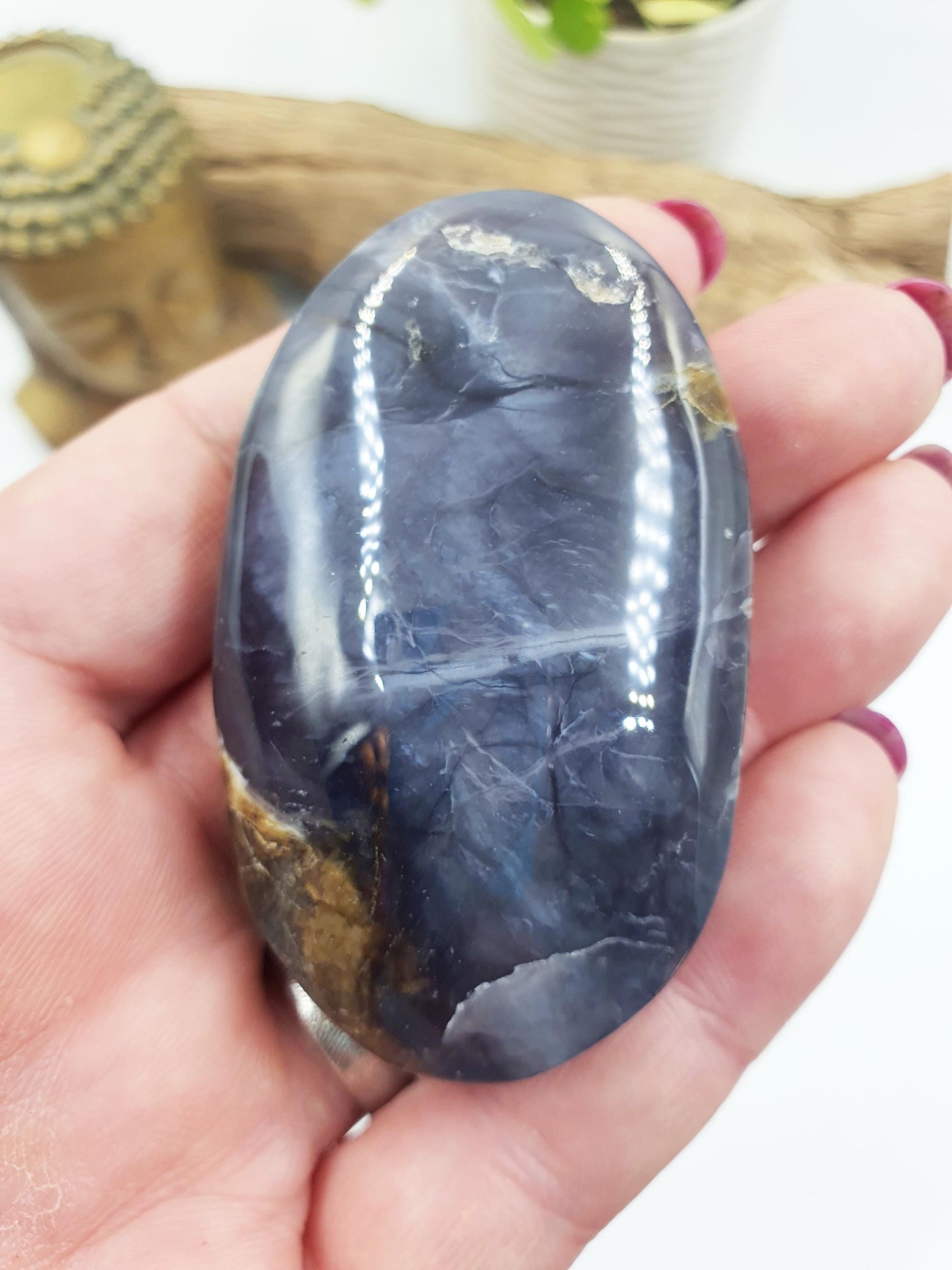 Petrified Wood Palm Stone - Grounding & Ancestral Wisdom Crystal - 70g