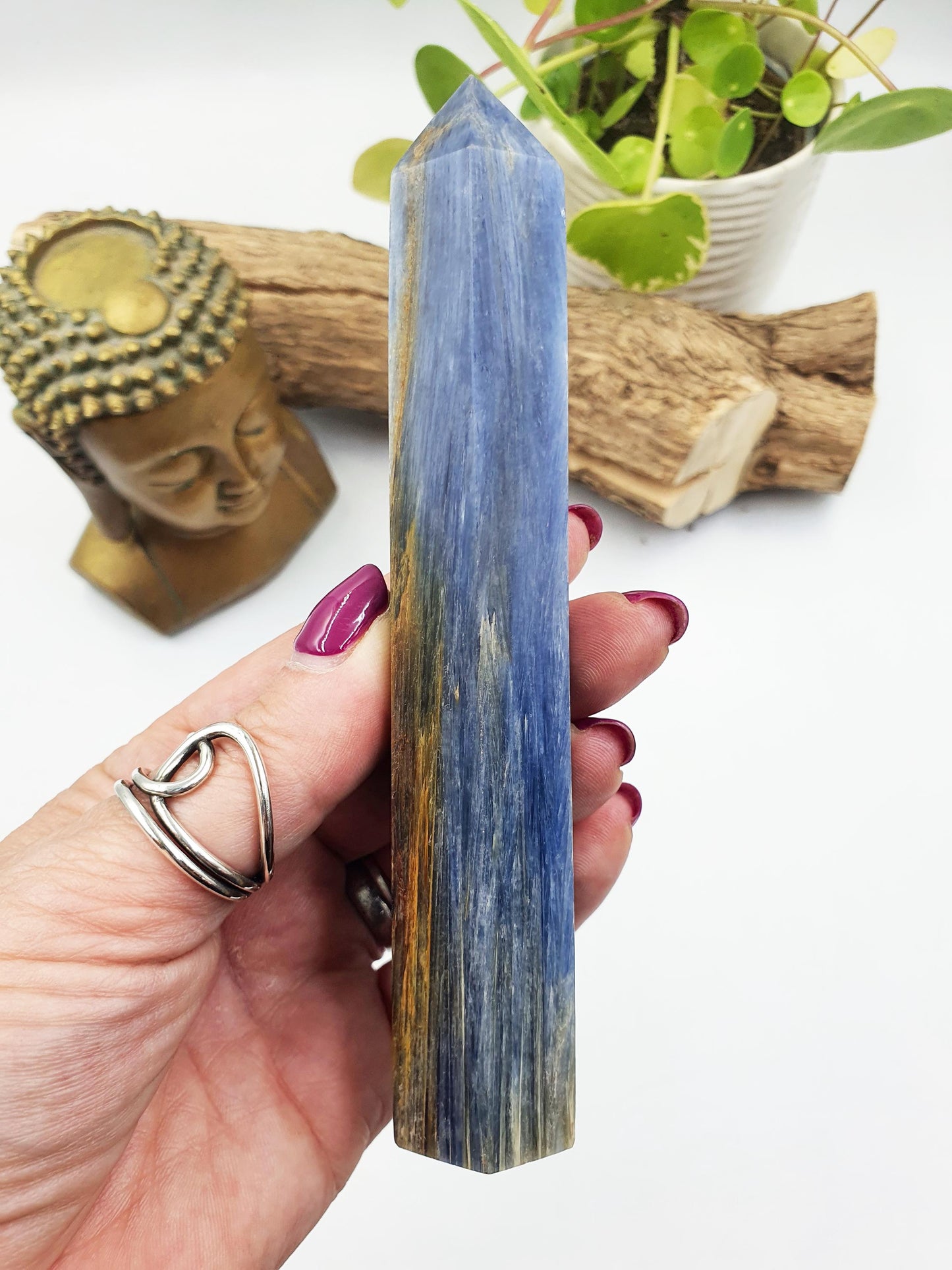 High Grade Kyanite Tower - Alignment & Communication Crystal Point - 14cm
