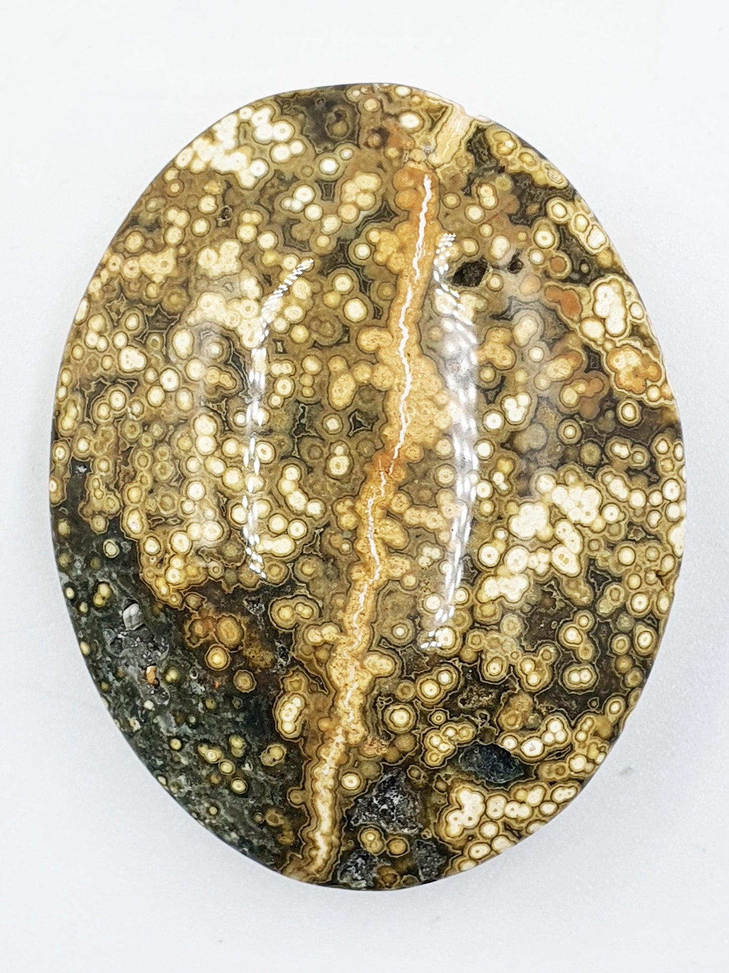 Orbicular Ocean Jasper Palm - Joy & Renewal Healing Crystal - 65g