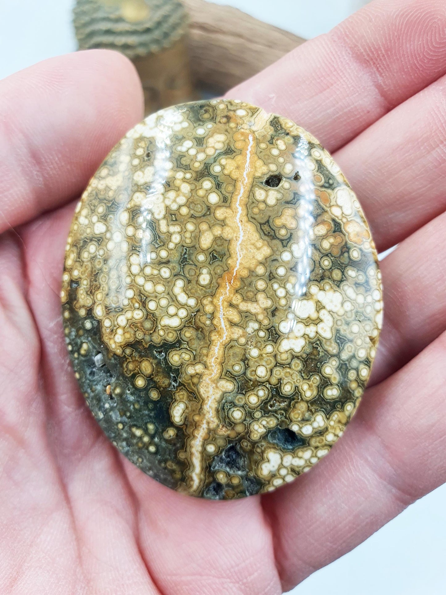 Orbicular Ocean Jasper Palm - Joy & Renewal Healing Crystal - 65g