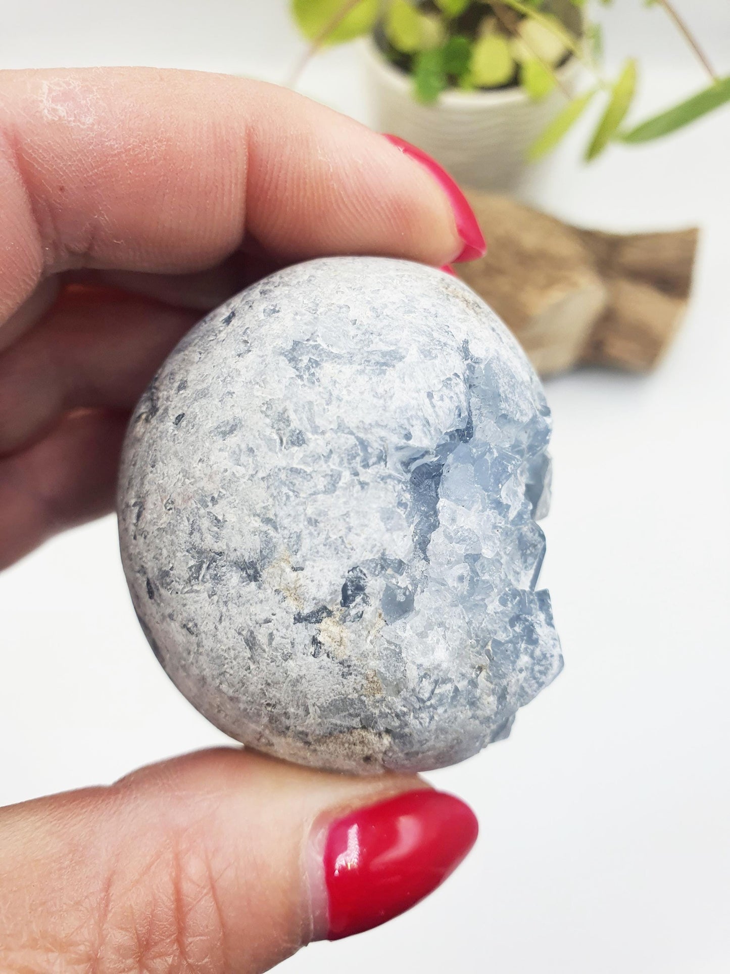 Raw Celestite Geode Specimen - Calming & Angelic Energy Healing Crystal, 190g