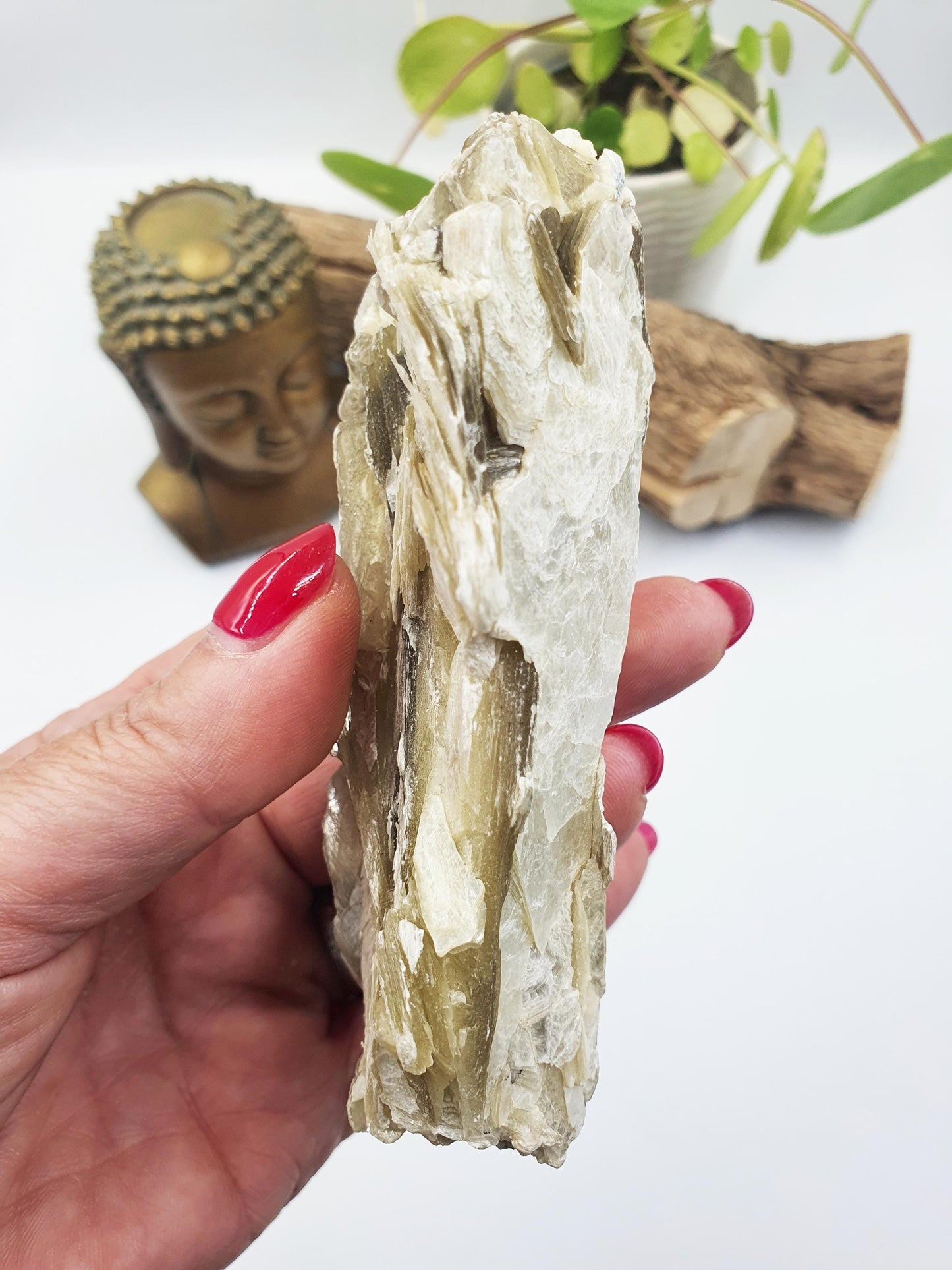 Raw Golden Mica Specimen (Muscovite Mica) - Uplifting & Protective Healing Crystal, 250g