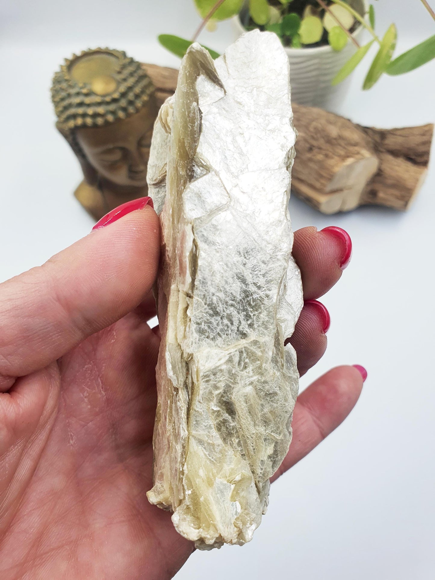 Raw Golden Mica Specimen (Muscovite Mica) - Uplifting & Protective Healing Crystal, 250g