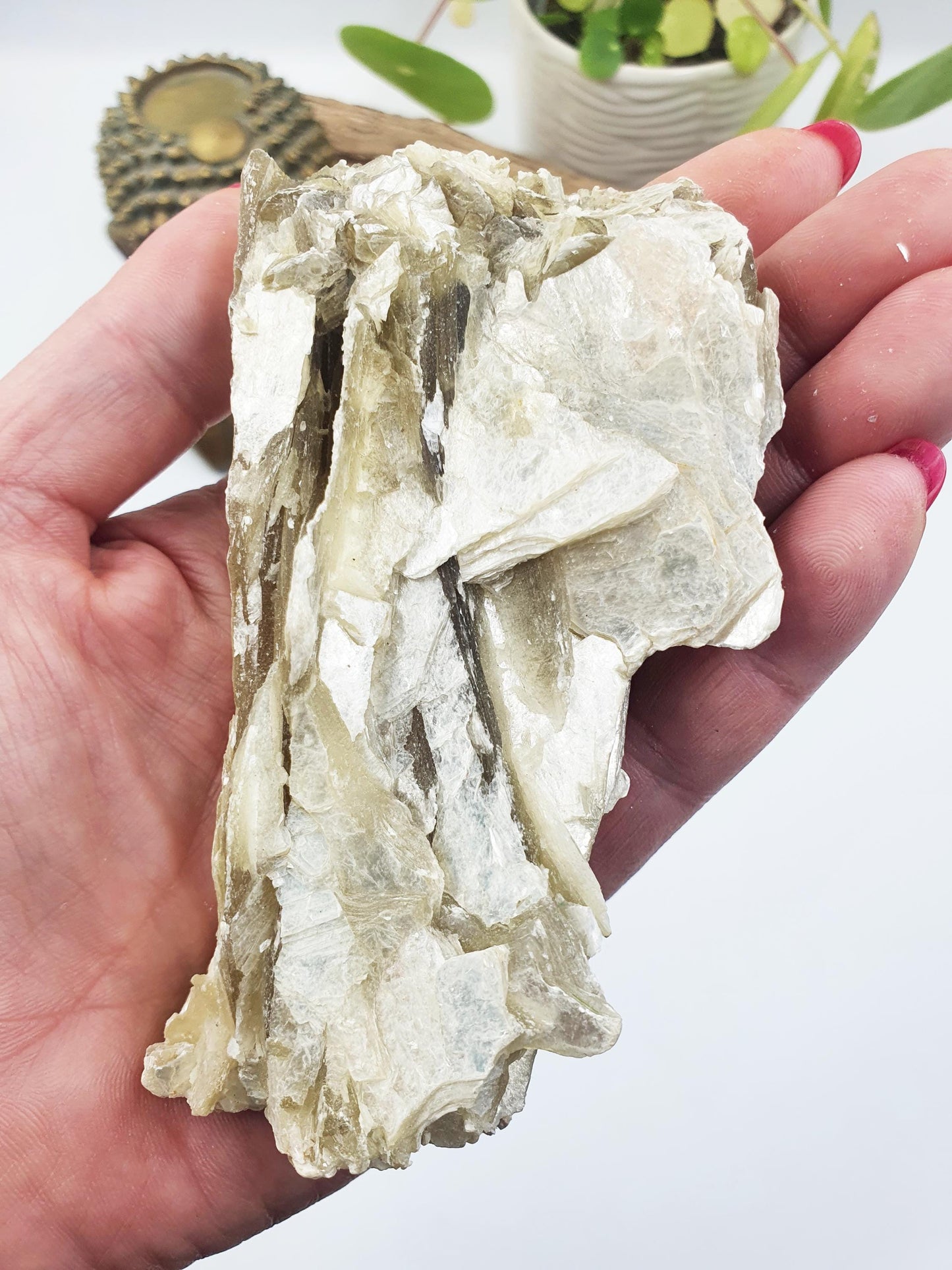 Raw Golden Mica Specimen (Muscovite Mica) - Uplifting & Protective Healing Crystal, 250g