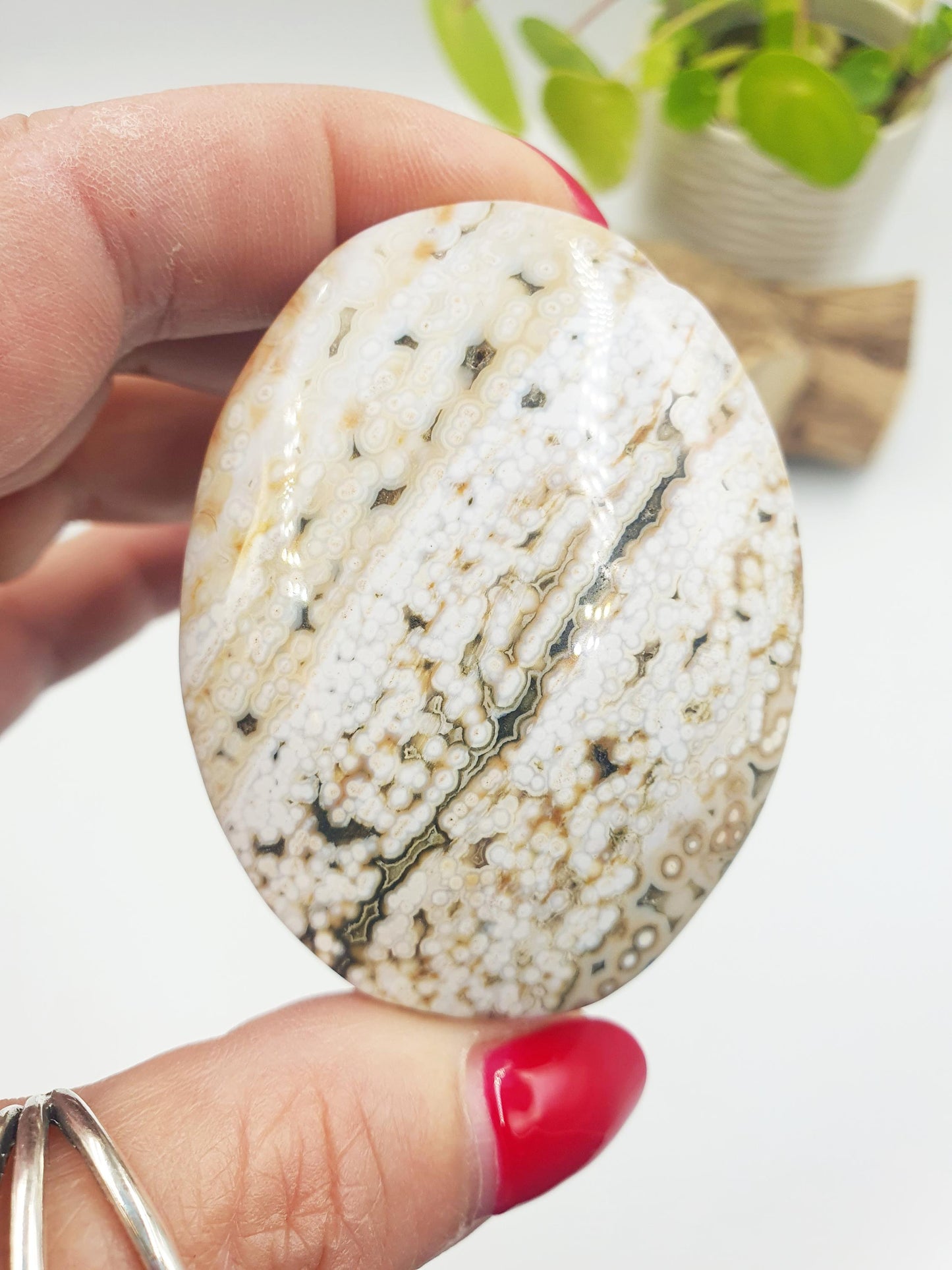 Orbicular Ocean Jasper Palm - Joy & Renewal Healing Crystal - 100g