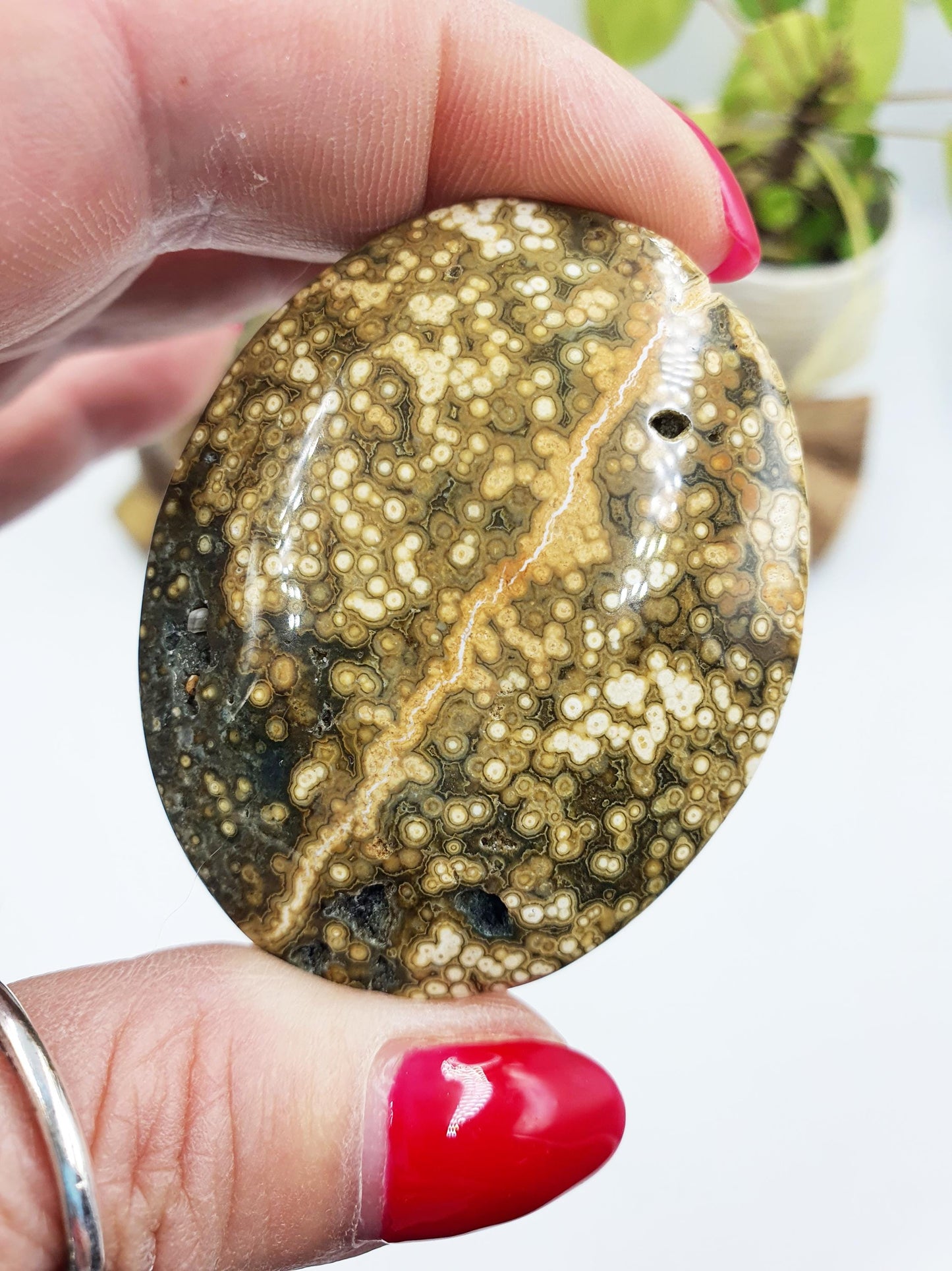 Orbicular Ocean Jasper Palm - Joy & Renewal Healing Crystal - 65g
