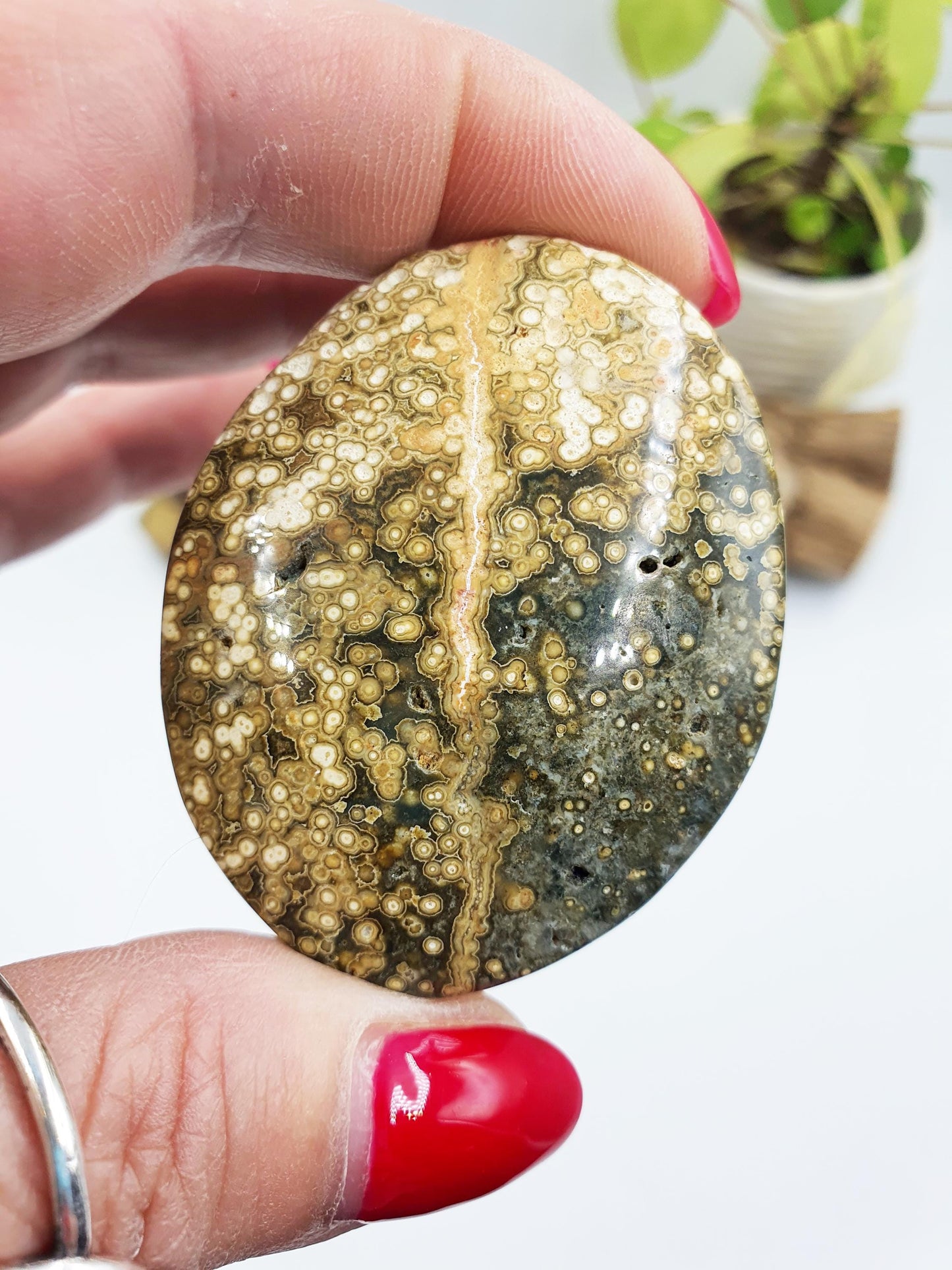 Orbicular Ocean Jasper Palm - Joy & Renewal Healing Crystal - 65g