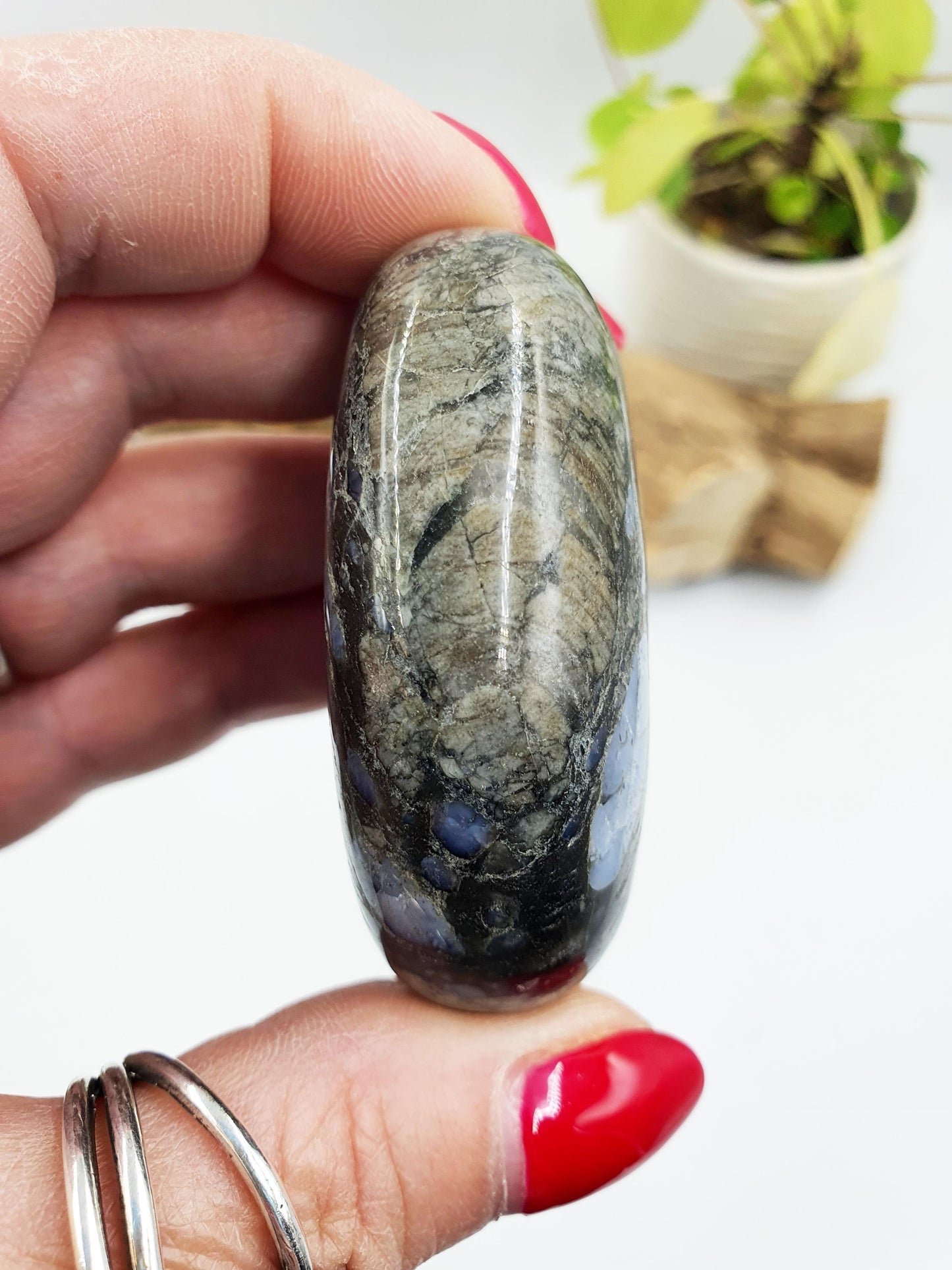 Que Sera (Llanite) Palm Stone - Uplifting & High Vibration Healing Crystal - 100g
