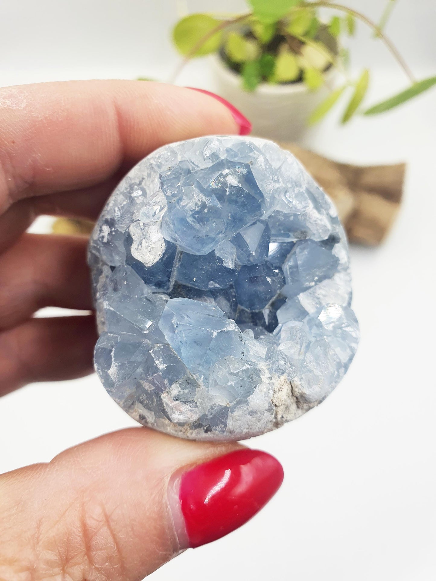 Raw Celestite Geode Specimen - Calming & Angelic Energy Healing Crystal, 190g