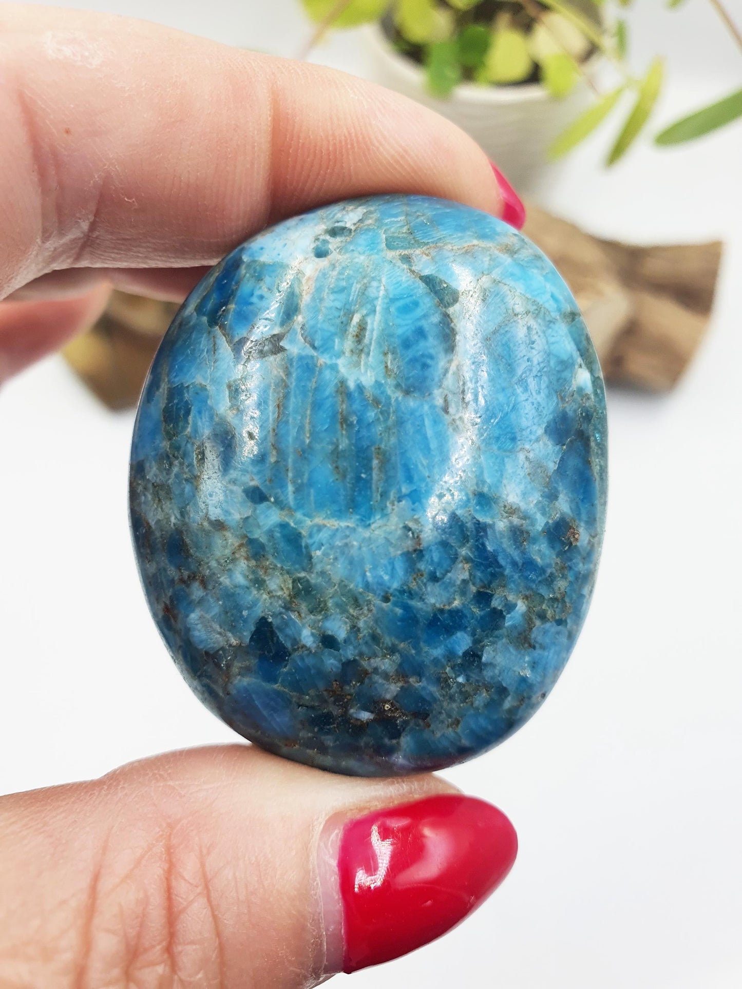 Blue Apatite Palm Stone - Motivation & Focus Healing Crystal - 85g