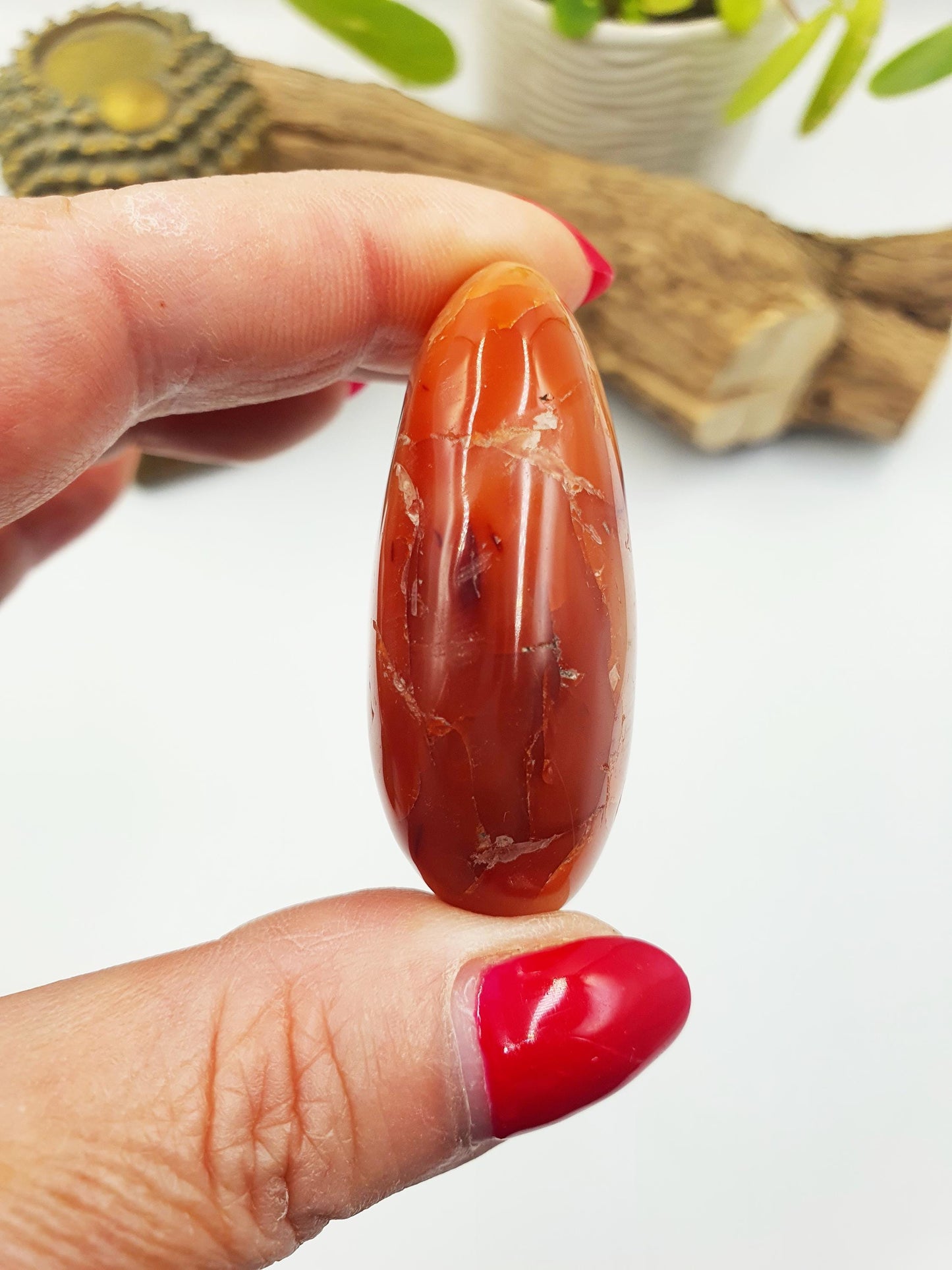 Carnelian Palm Stone - Vitality & Creative Healing Crystal - 55g