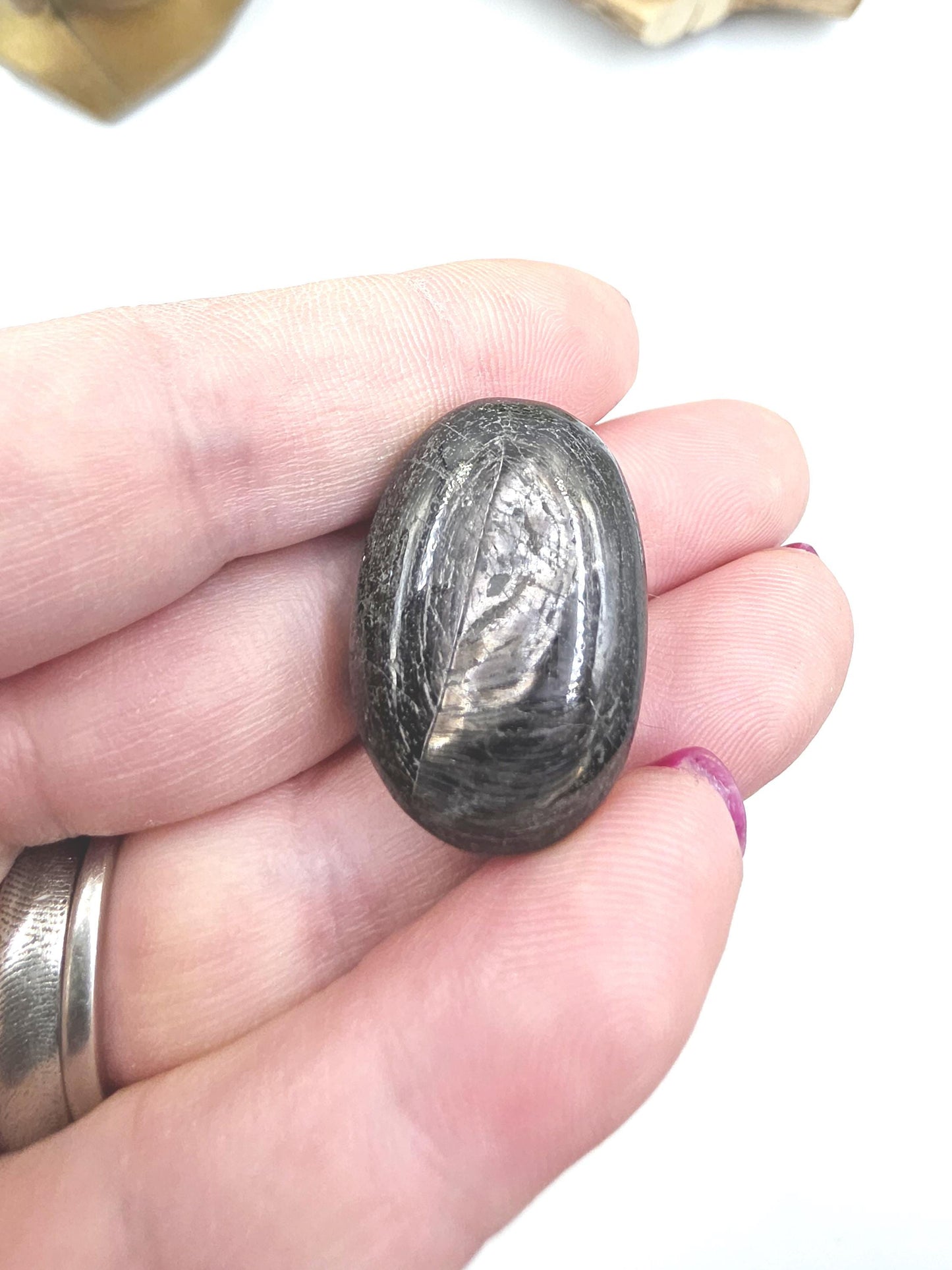 Mini Hypersthene Pebble Palm – Intuition, Protection & Deep Calm Crystal, 15g