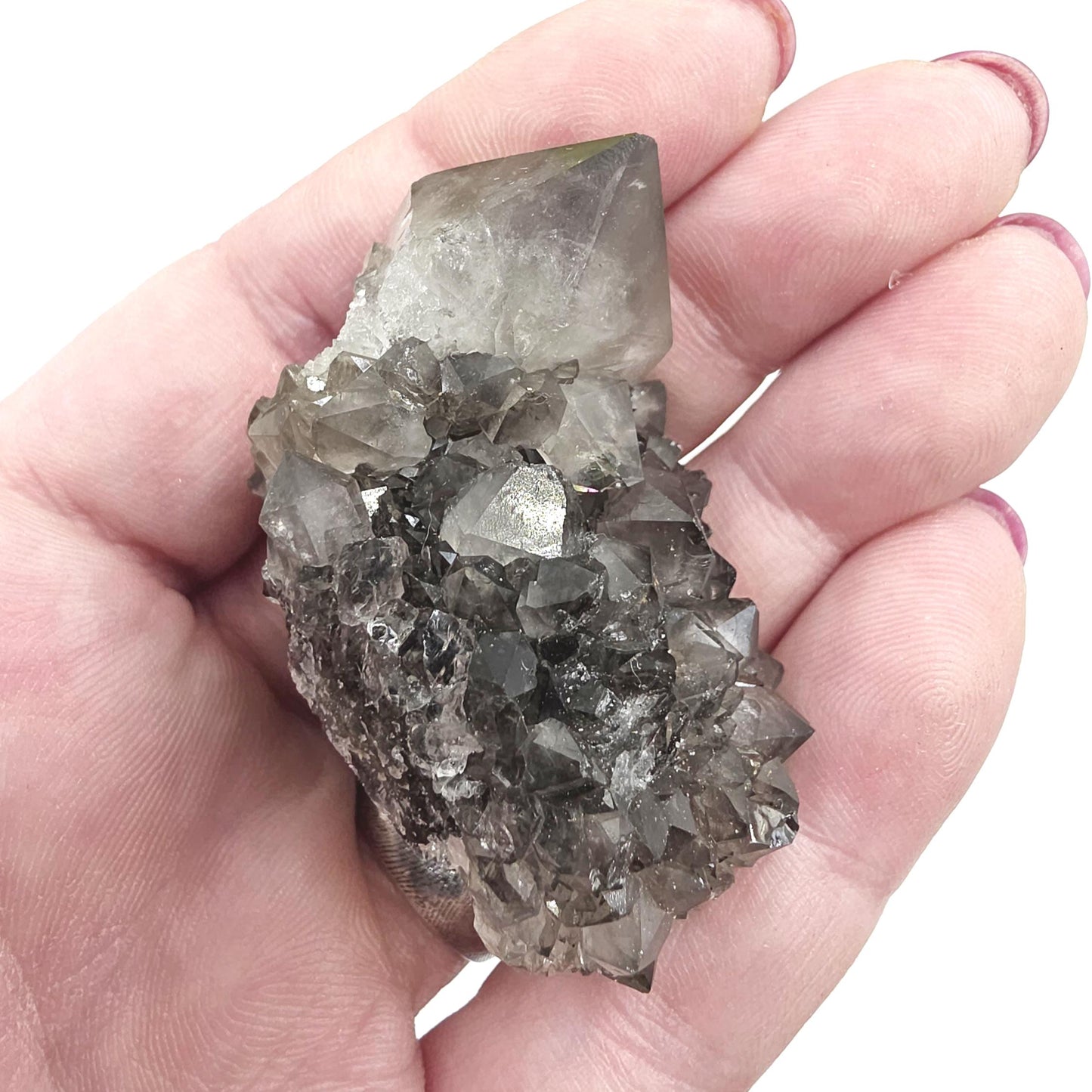 Little Rare Black Spirit Quartz Cluster - Protective & Spiritual Growth Crystal - 50g