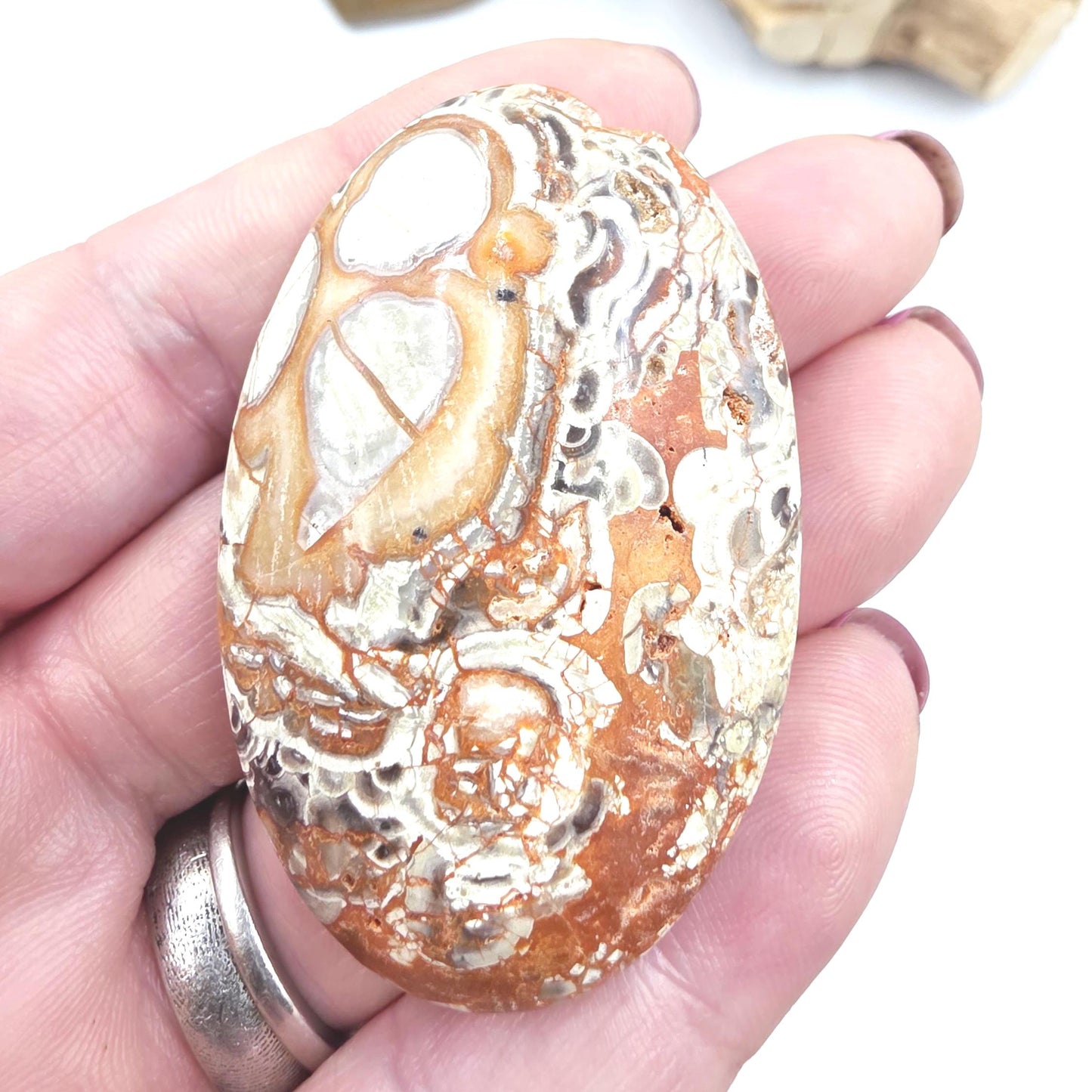 Money Agate Palm Stone – Abundance, Stability & Root Chakra Crystal, 35g