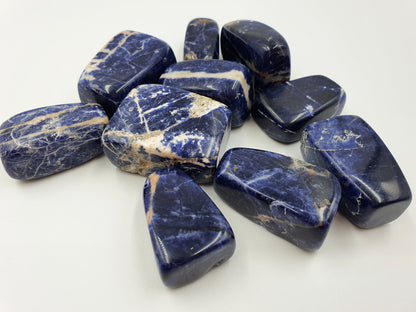 Sodalite (Large) Tumbles
