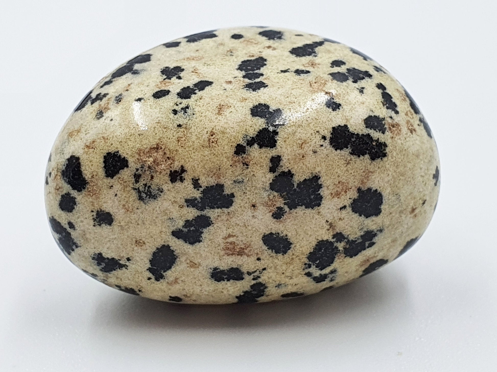 Dalmatian Jasper Tumbles