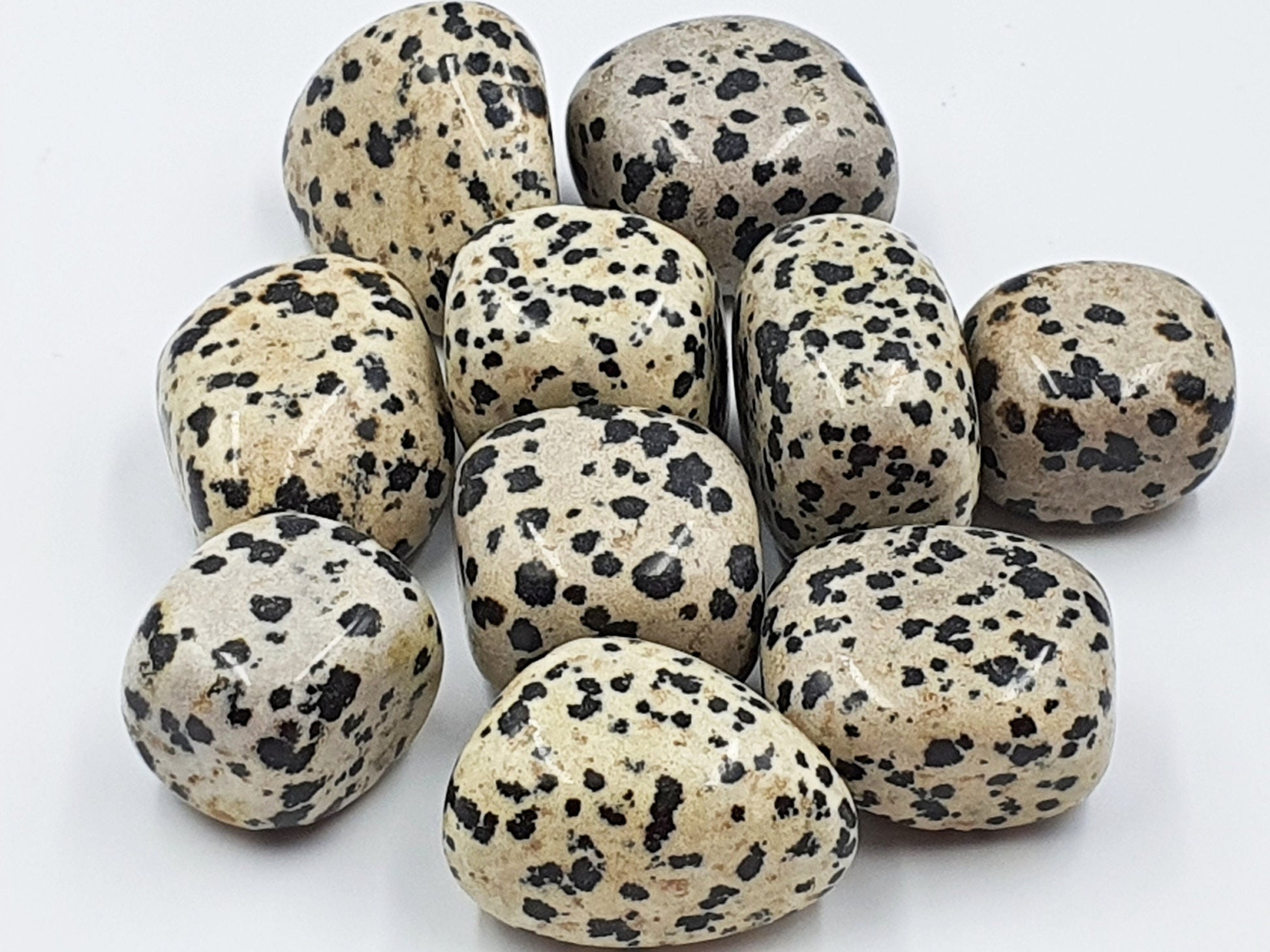 Dalmatian Jasper Tumbles