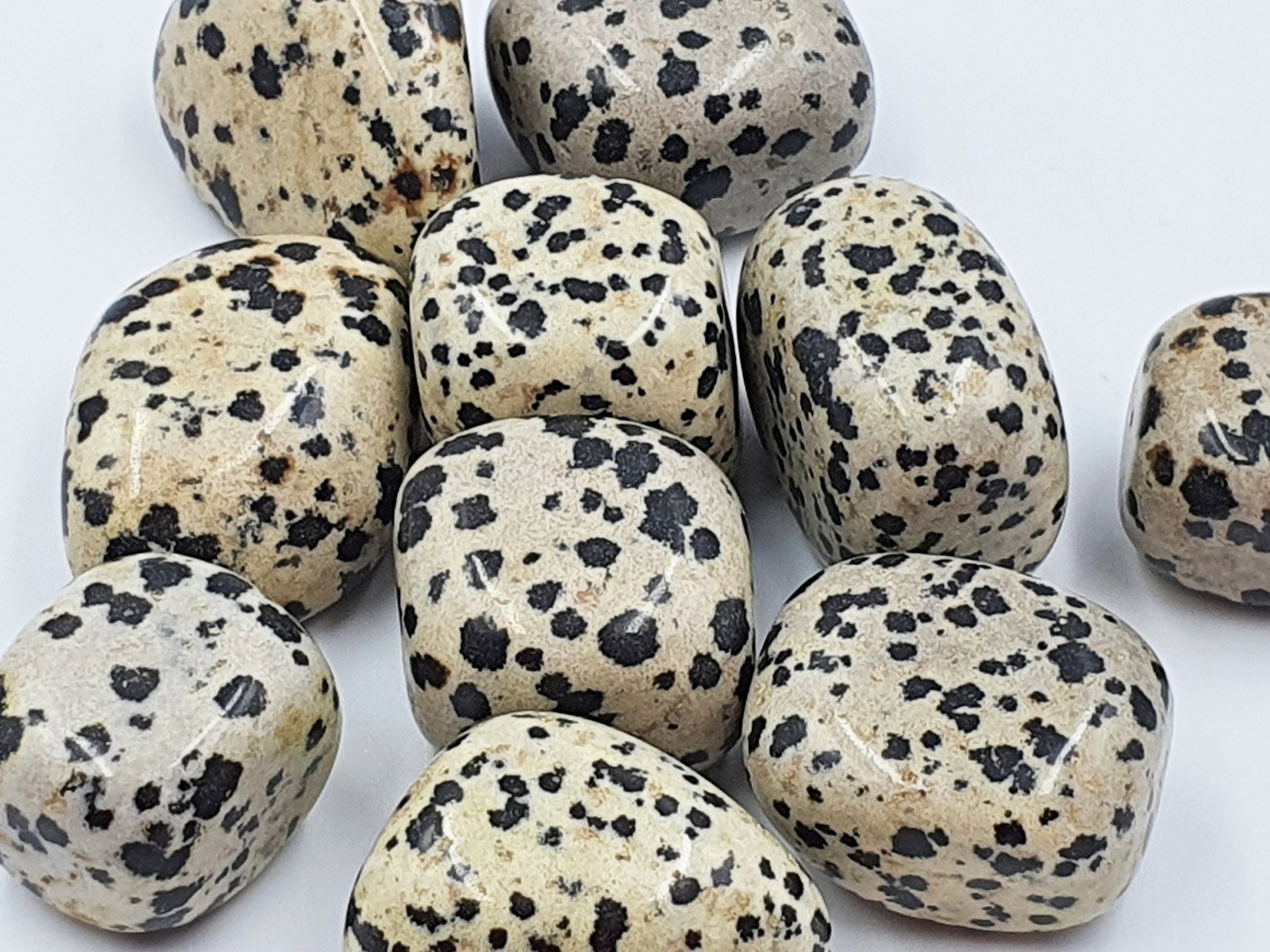 Dalmatian Jasper Tumbles