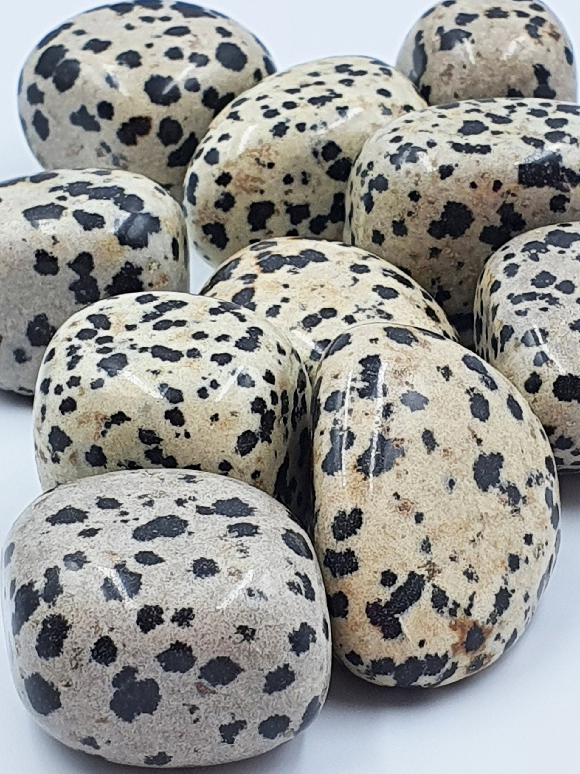 Dalmatian Jasper Tumbles