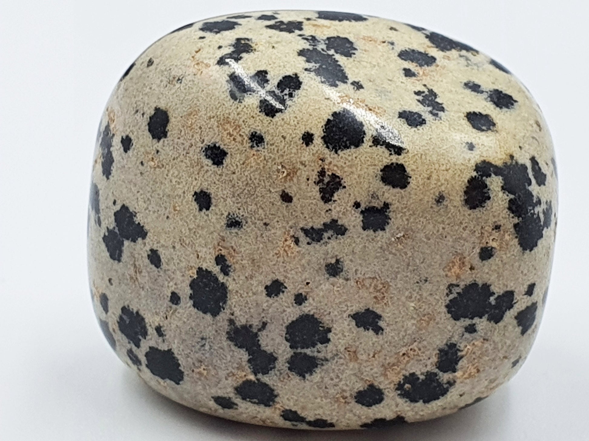 Dalmatian Jasper Tumbles