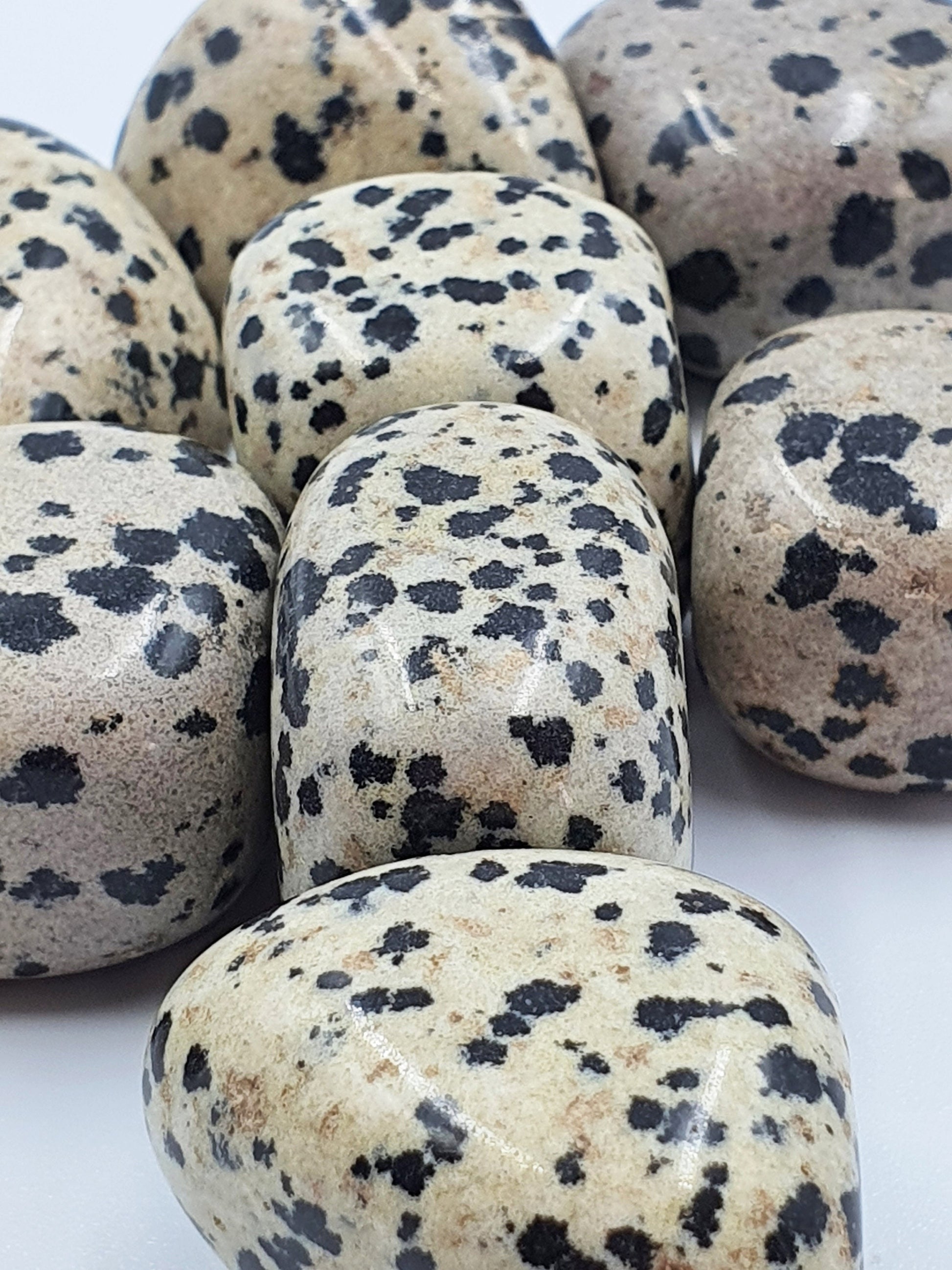 Dalmatian Jasper Tumbles