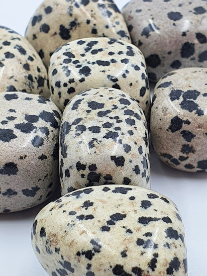 Dalmatian Jasper Tumbles