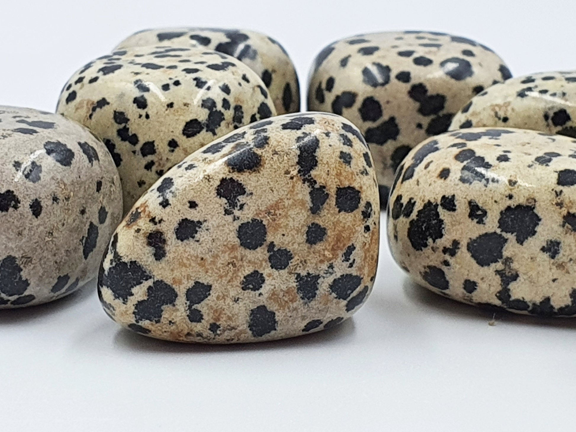 Dalmatian Jasper Tumbles