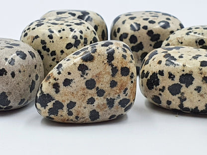 Dalmatian Jasper Tumbles