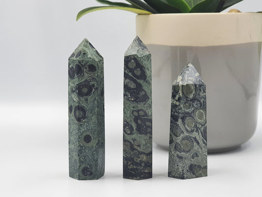 Amazing Kambaba Jasper Crystal Tower 79g/9cm (Last One)