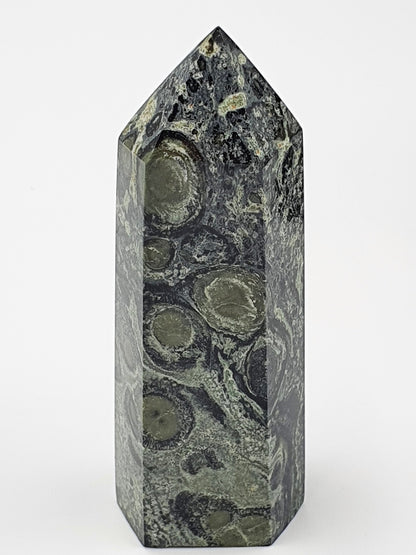 Amazing Kambaba Jasper Crystal Tower 79g/9cm (Last One)