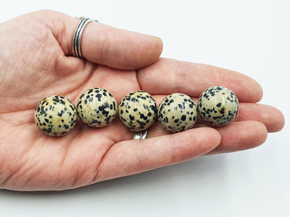 Dalmatian Jasper Mini Sphere - 20mm