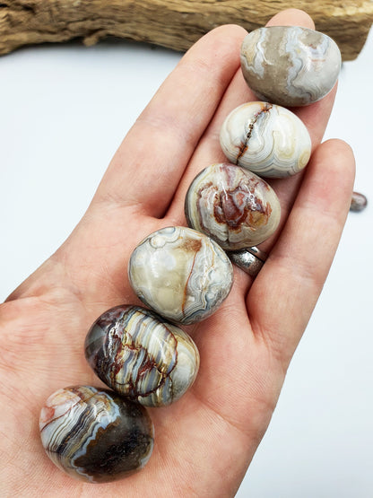 Mexican Crazy Lace Agate Tumbles