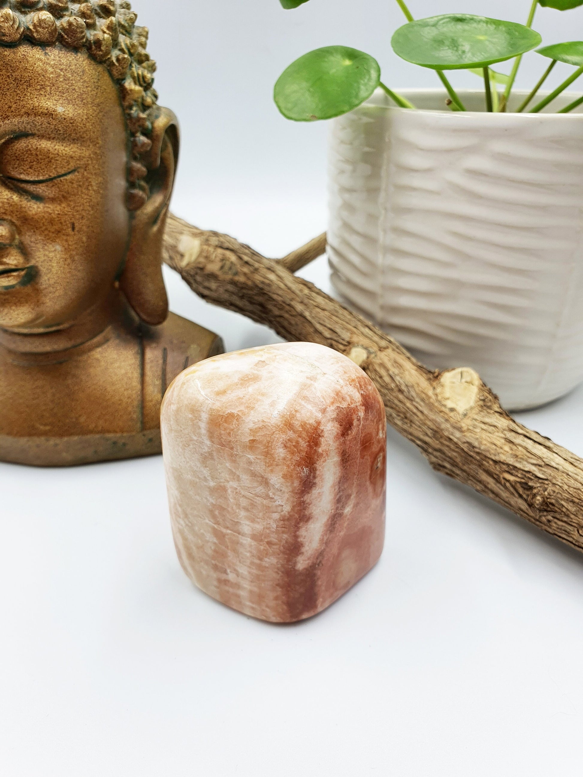 Pink Aragonite Freeform