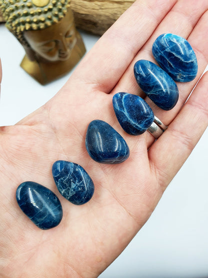 Blue Apatite Tumbles