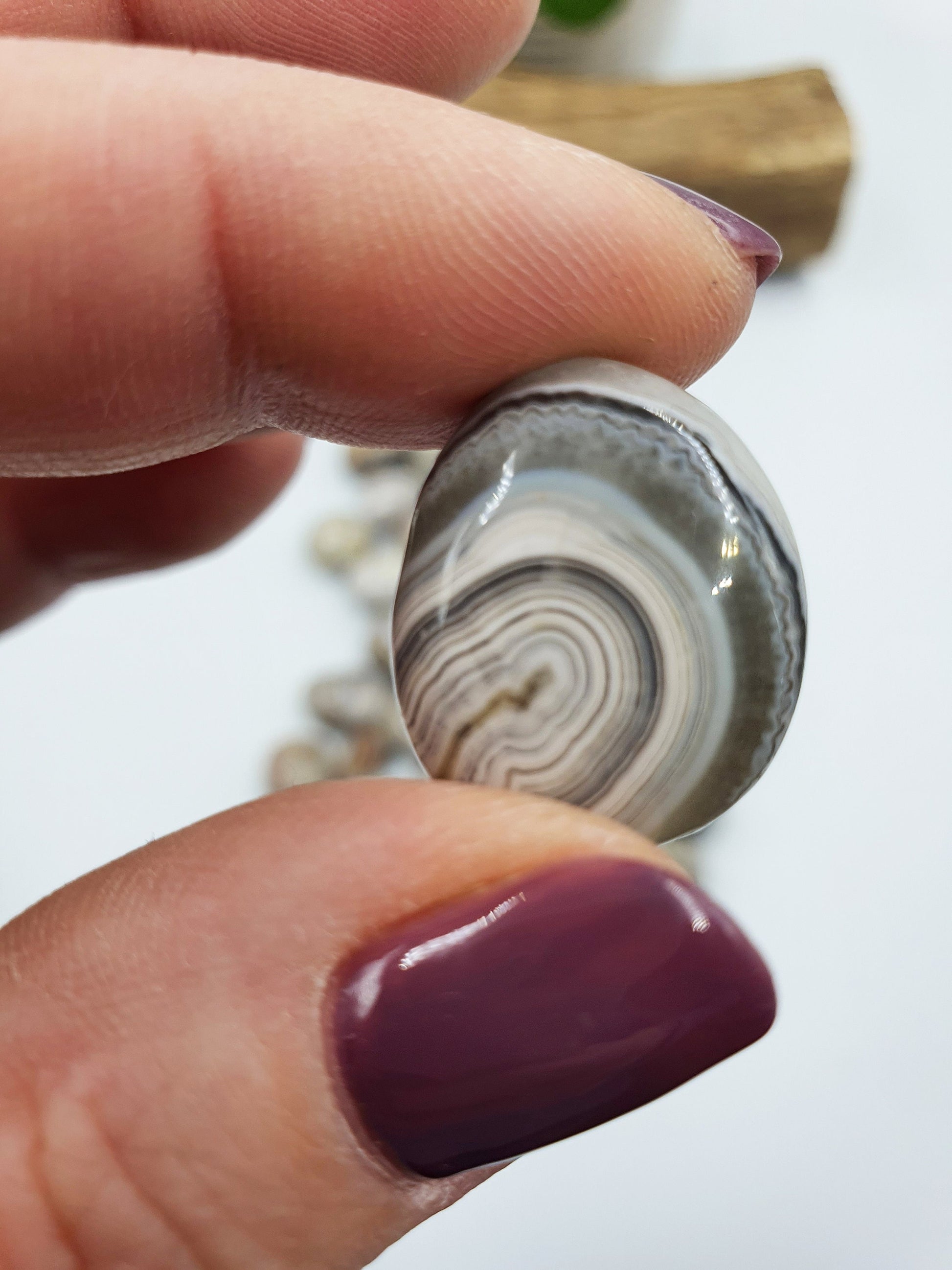 Mexican Crazy Lace Agate Tumbles
