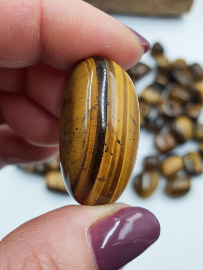 Flashy Yellow Tiger's Eye Tumbles