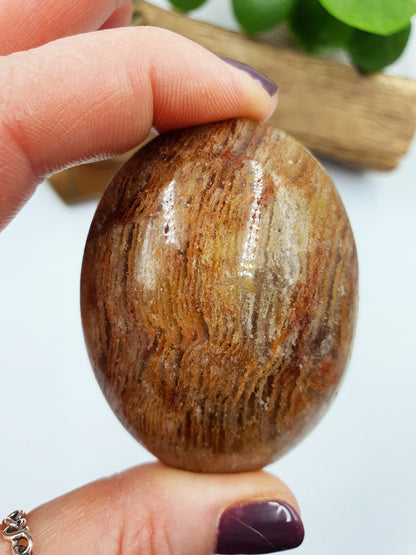 Large Thousand Layers (Lodolite) Palm - Garden Quartz Palmstone