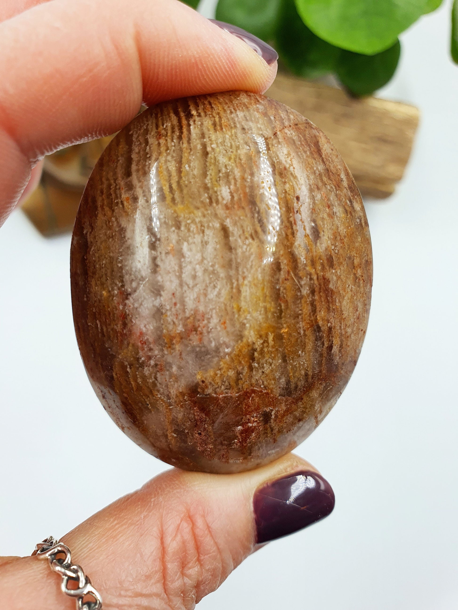 Large Thousand Layers (Lodolite) Palm - Garden Quartz Palmstone