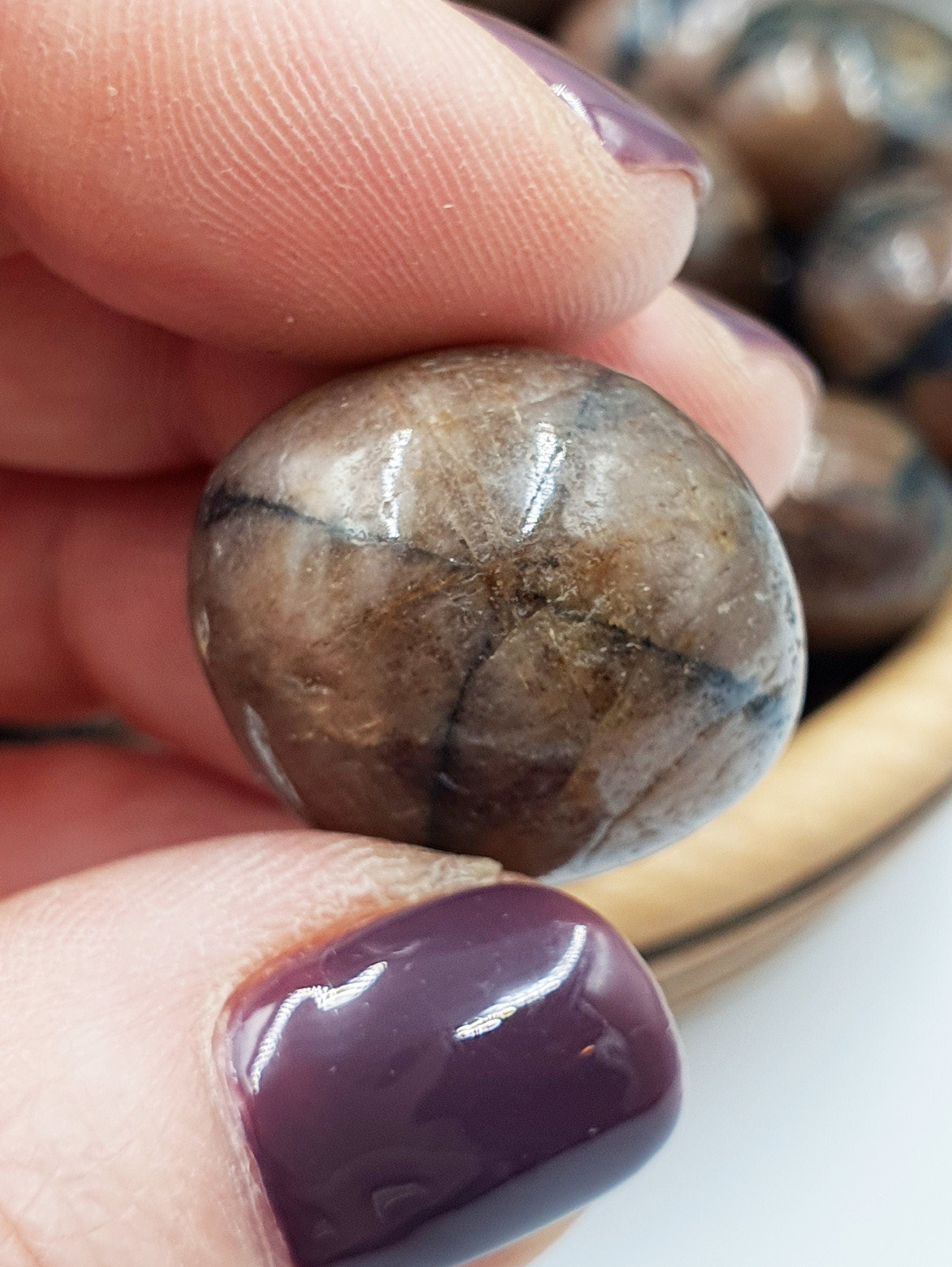 Chiastolite Crystal Tumble