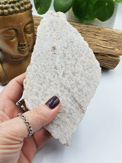 Light Amethyst Teeth Slab Cluster
