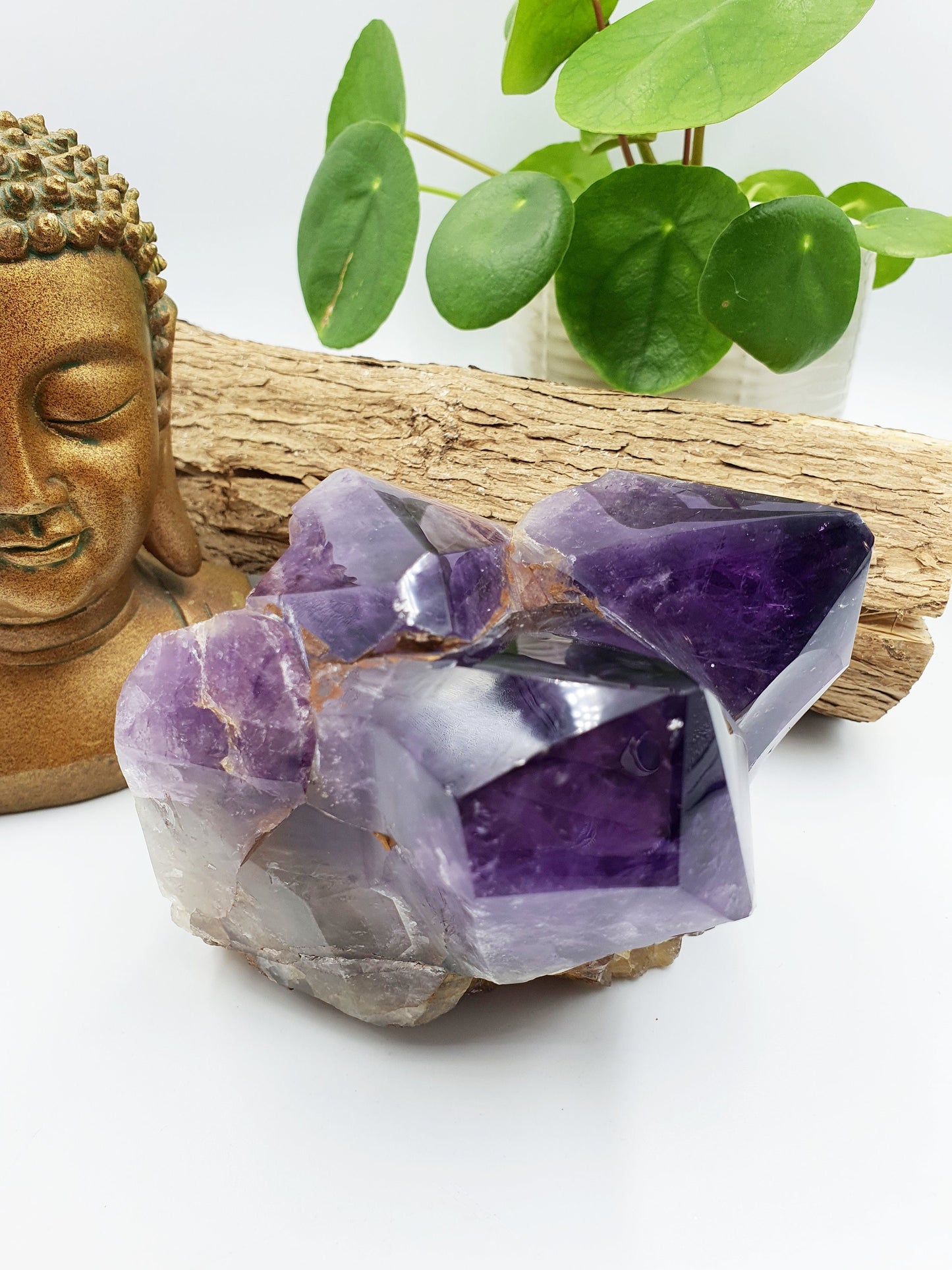 Amethyst Raw Polished Point