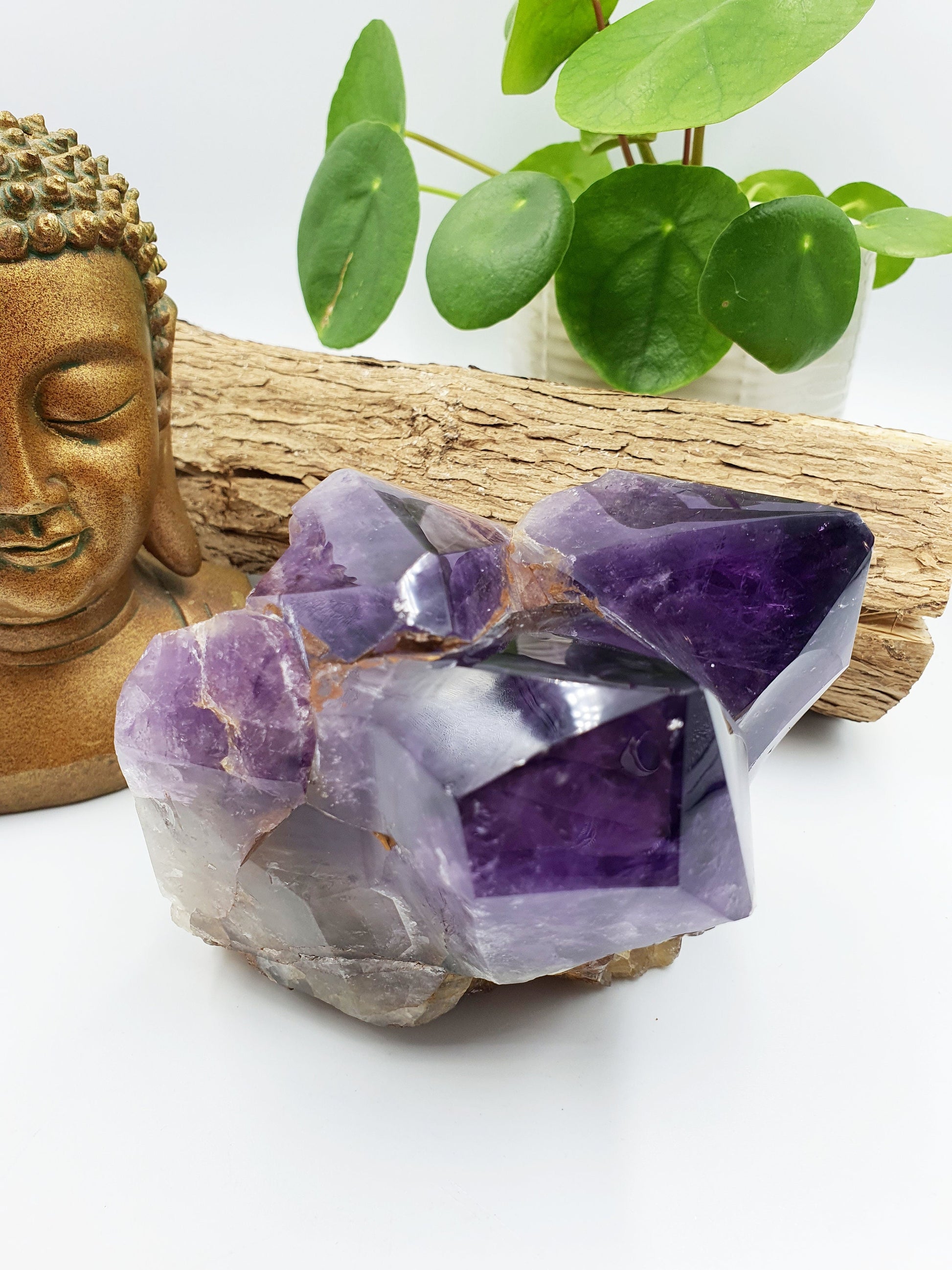 Amethyst Raw Polished Point