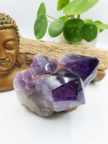 Amethyst Raw Polished Point