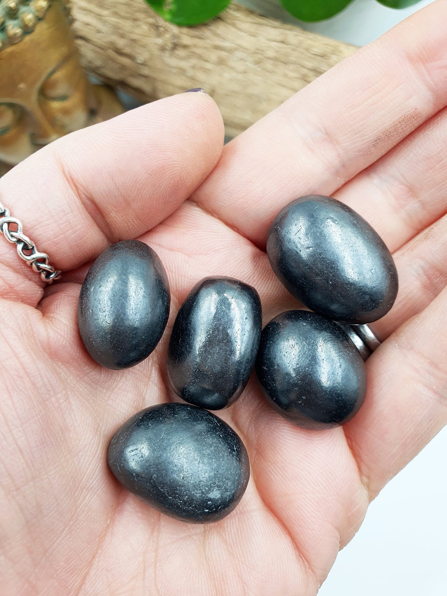 Shungite Tumbles x5