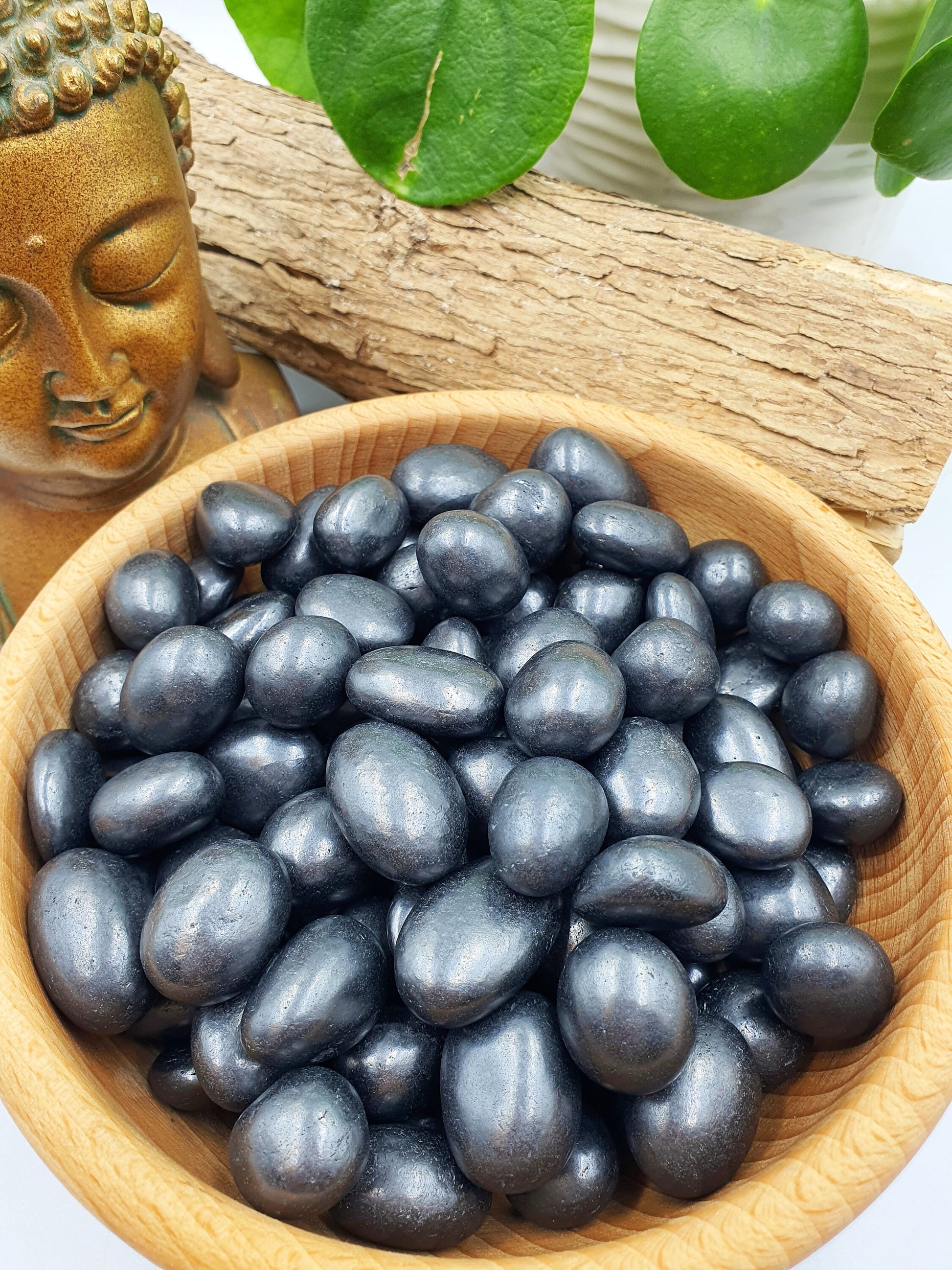 Shungite Tumbles x5