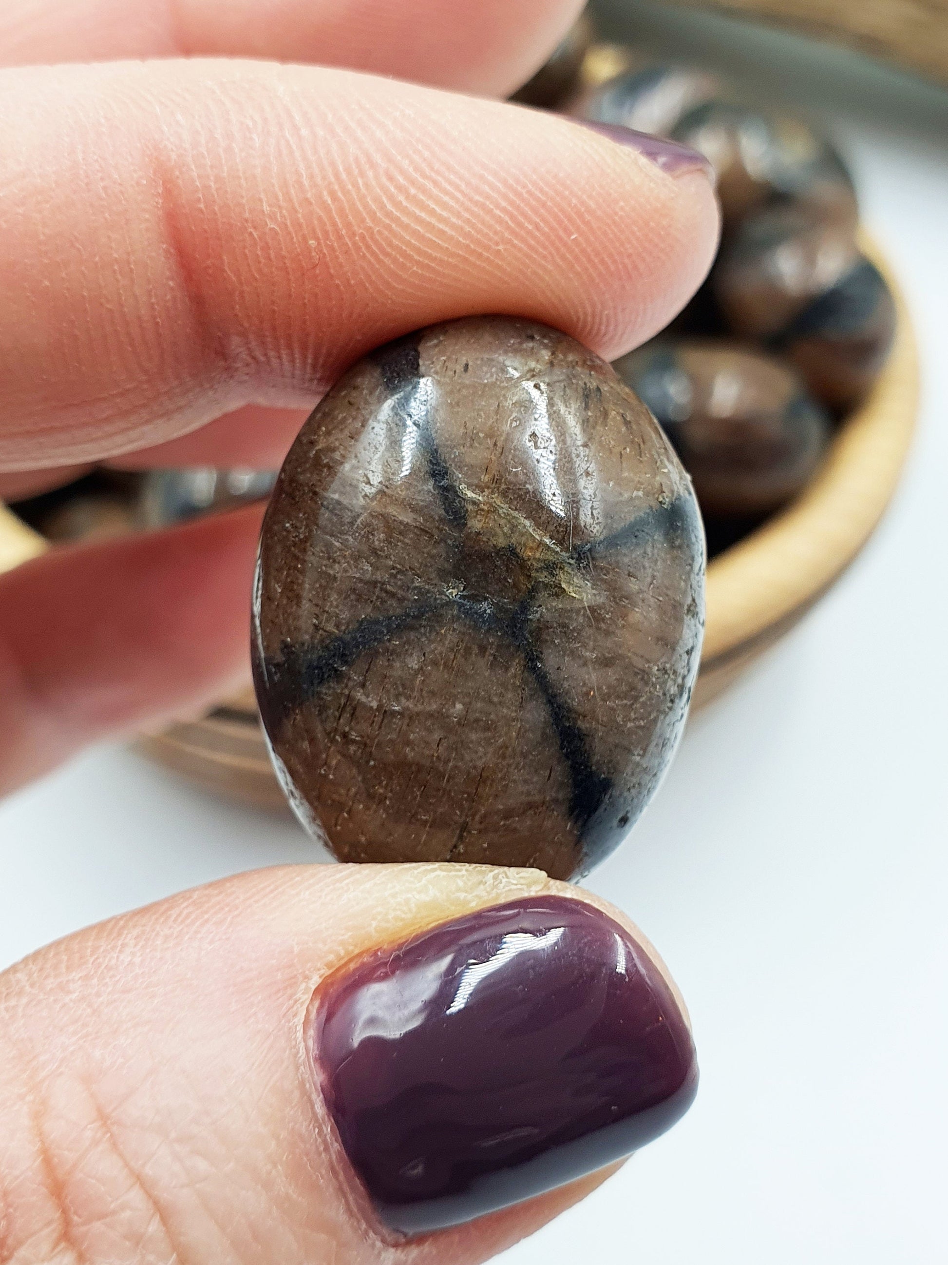 Chiastolite Crystal Tumble