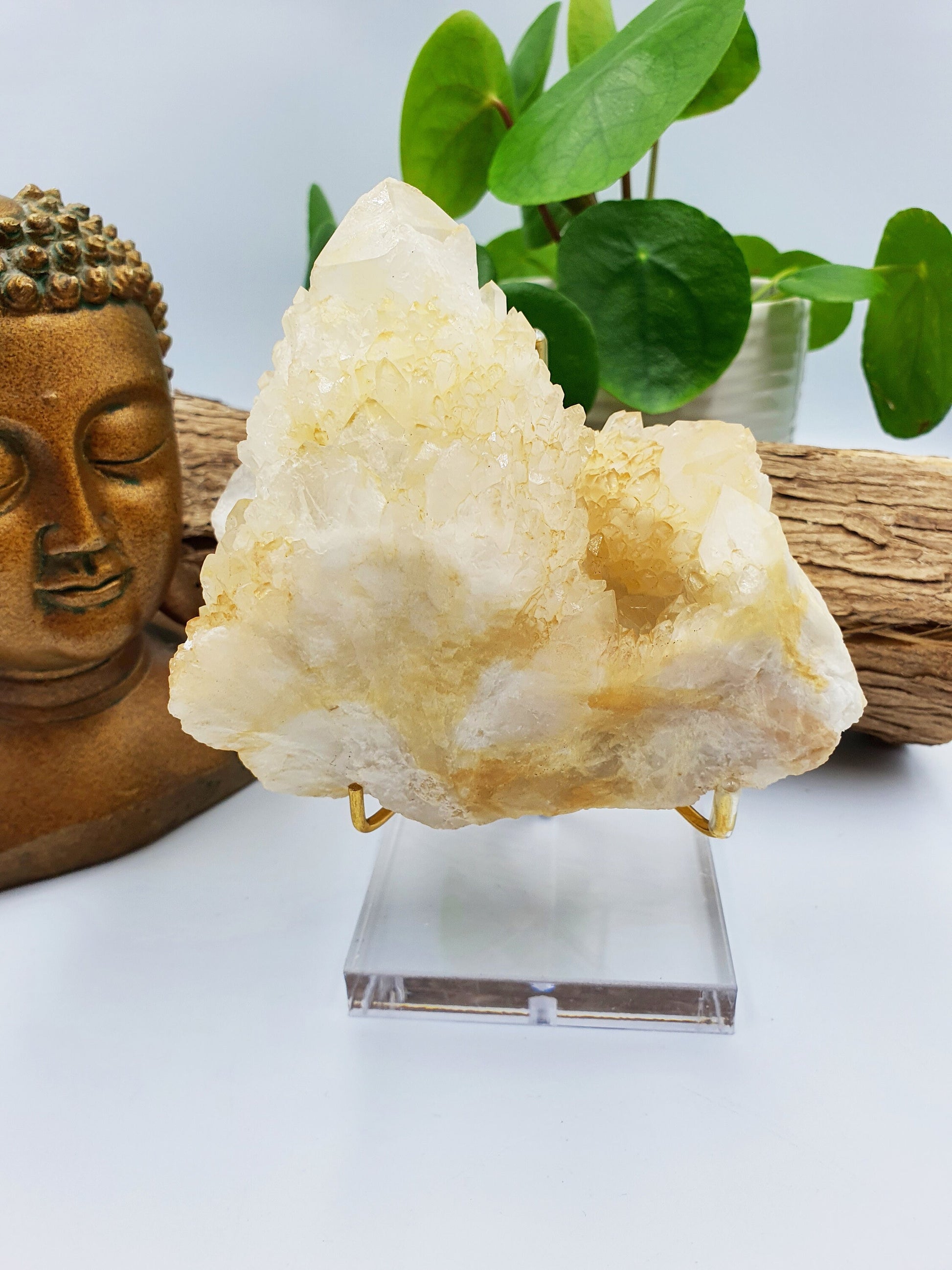 Clear Quartz Pineapple Cluster